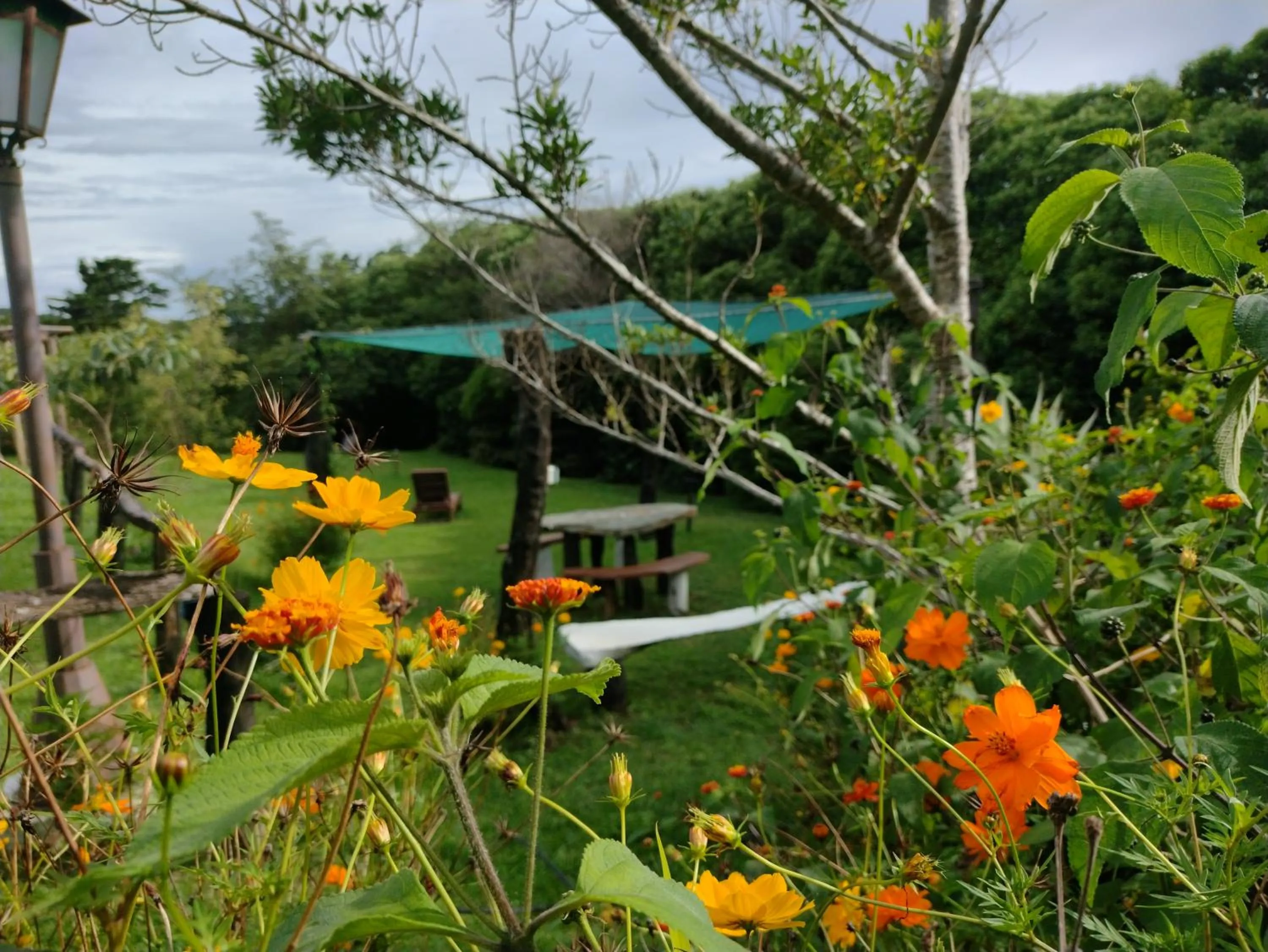 Garden view in Hotel Claro de Luna