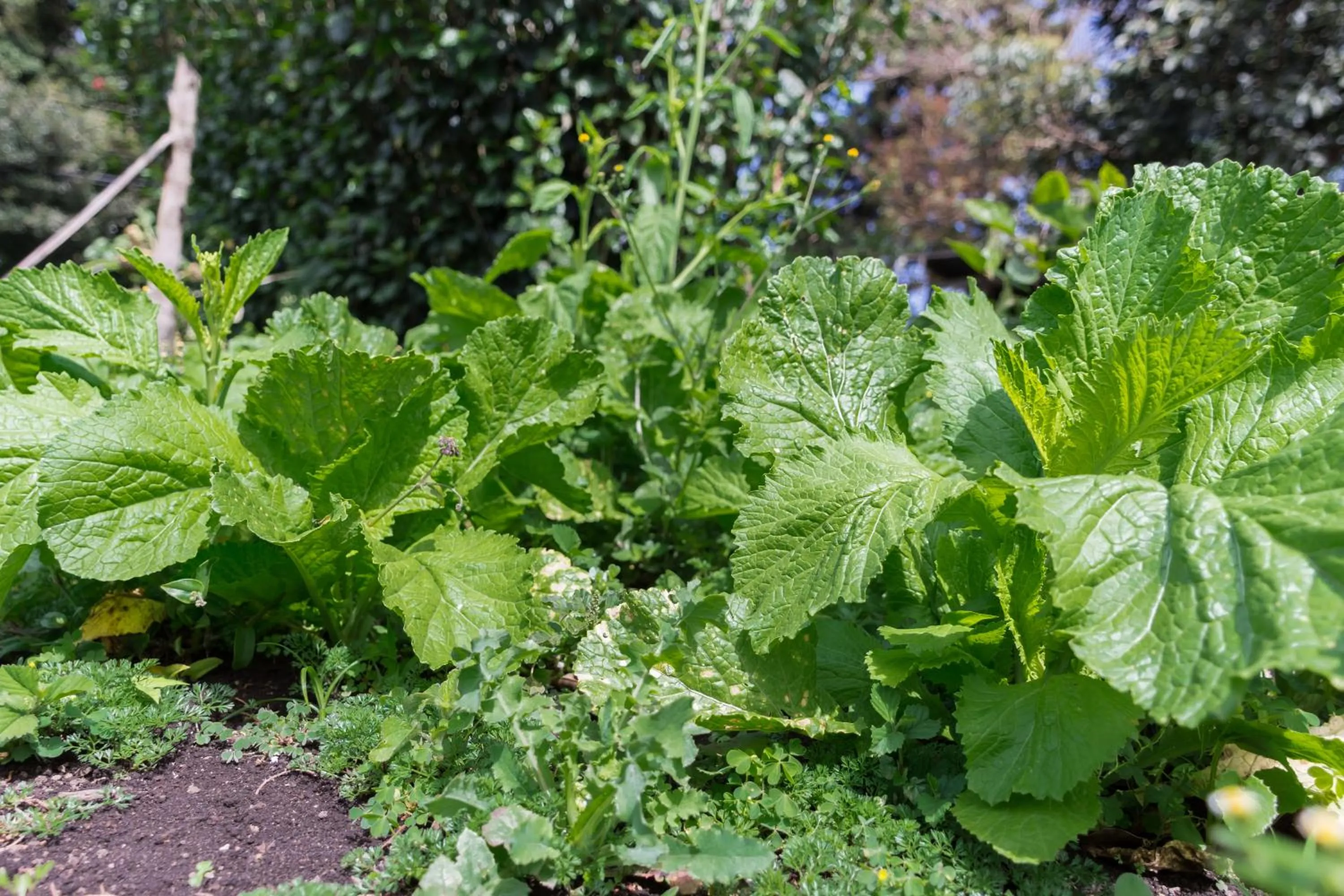 Area and facilities in Hotel Claro de Luna