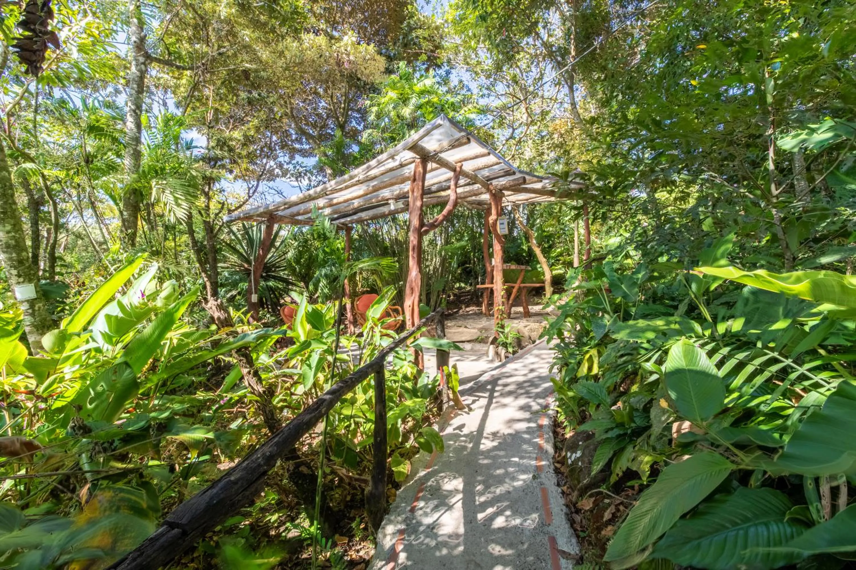 Garden in Hotel Claro de Luna