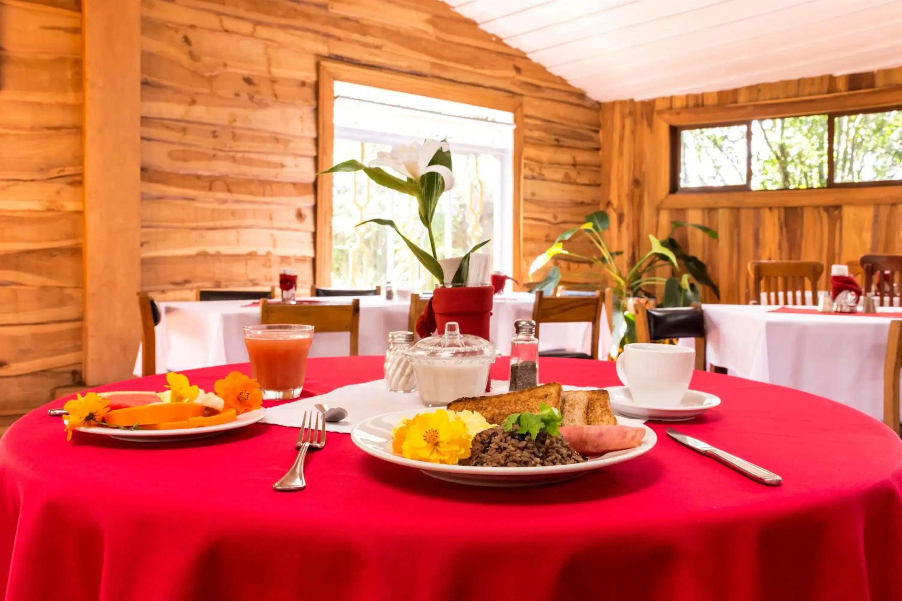 Food and drinks in Hotel Claro de Luna Food and drinks in Hotel Claro de Luna