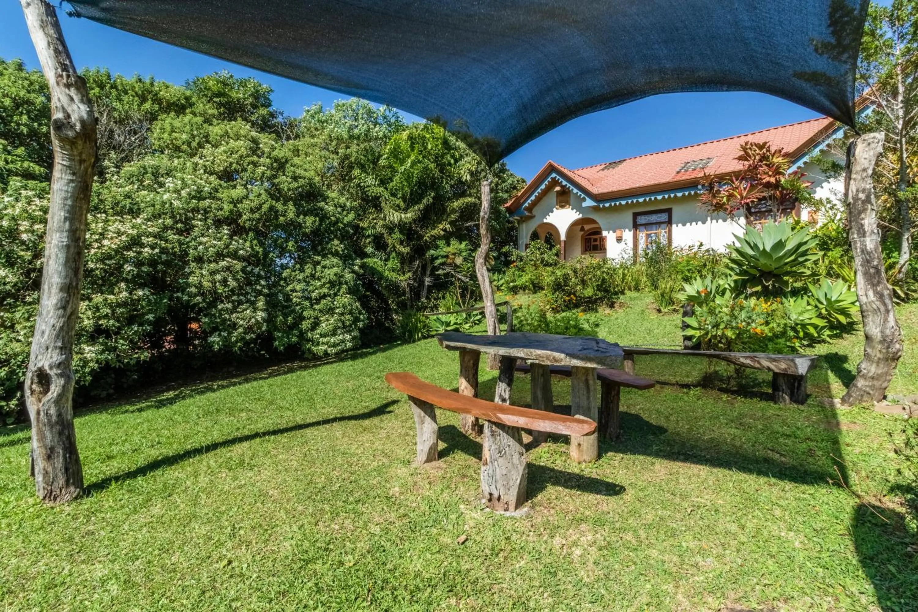 Garden in Hotel Claro de Luna