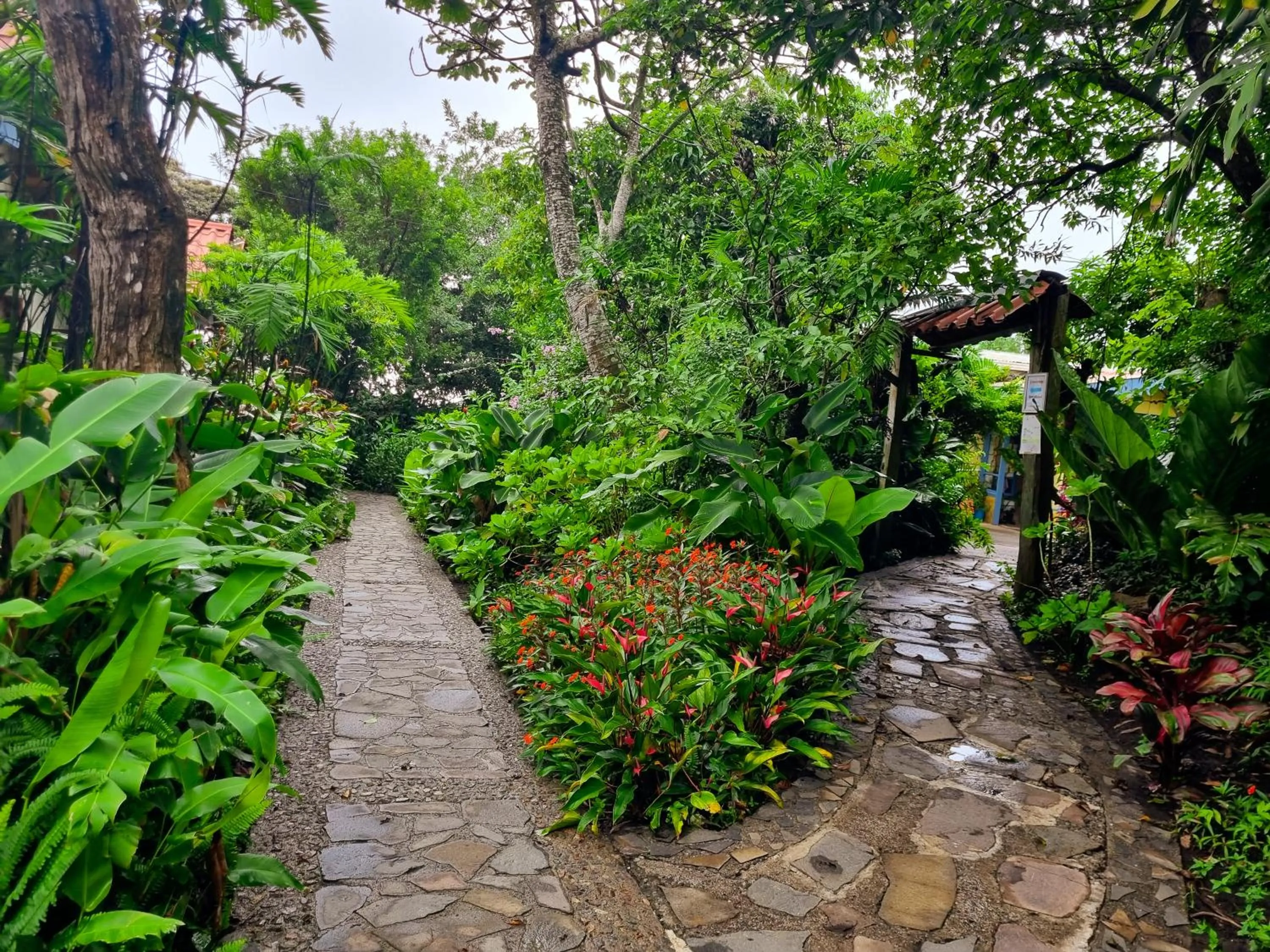 Garden view in Hotel Claro de Luna