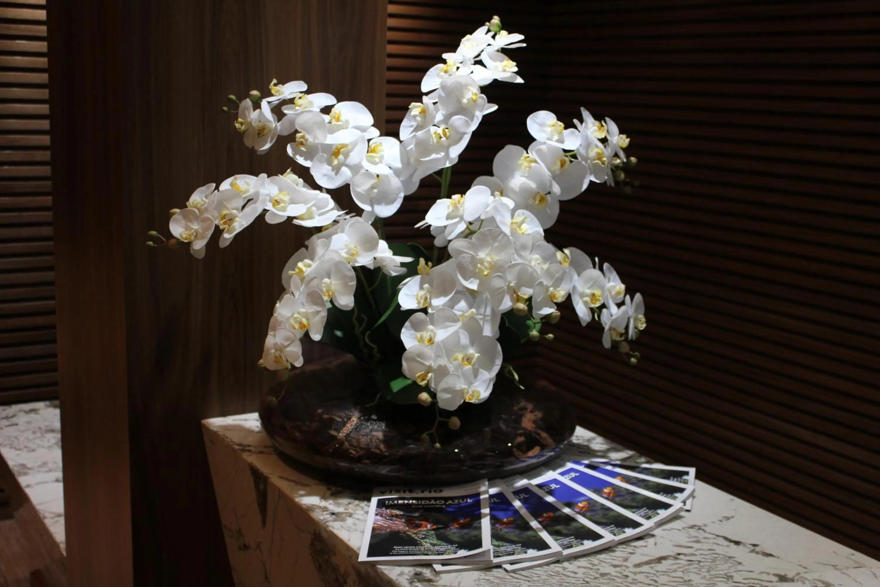 Lobby or reception in Casa Nova Hotel