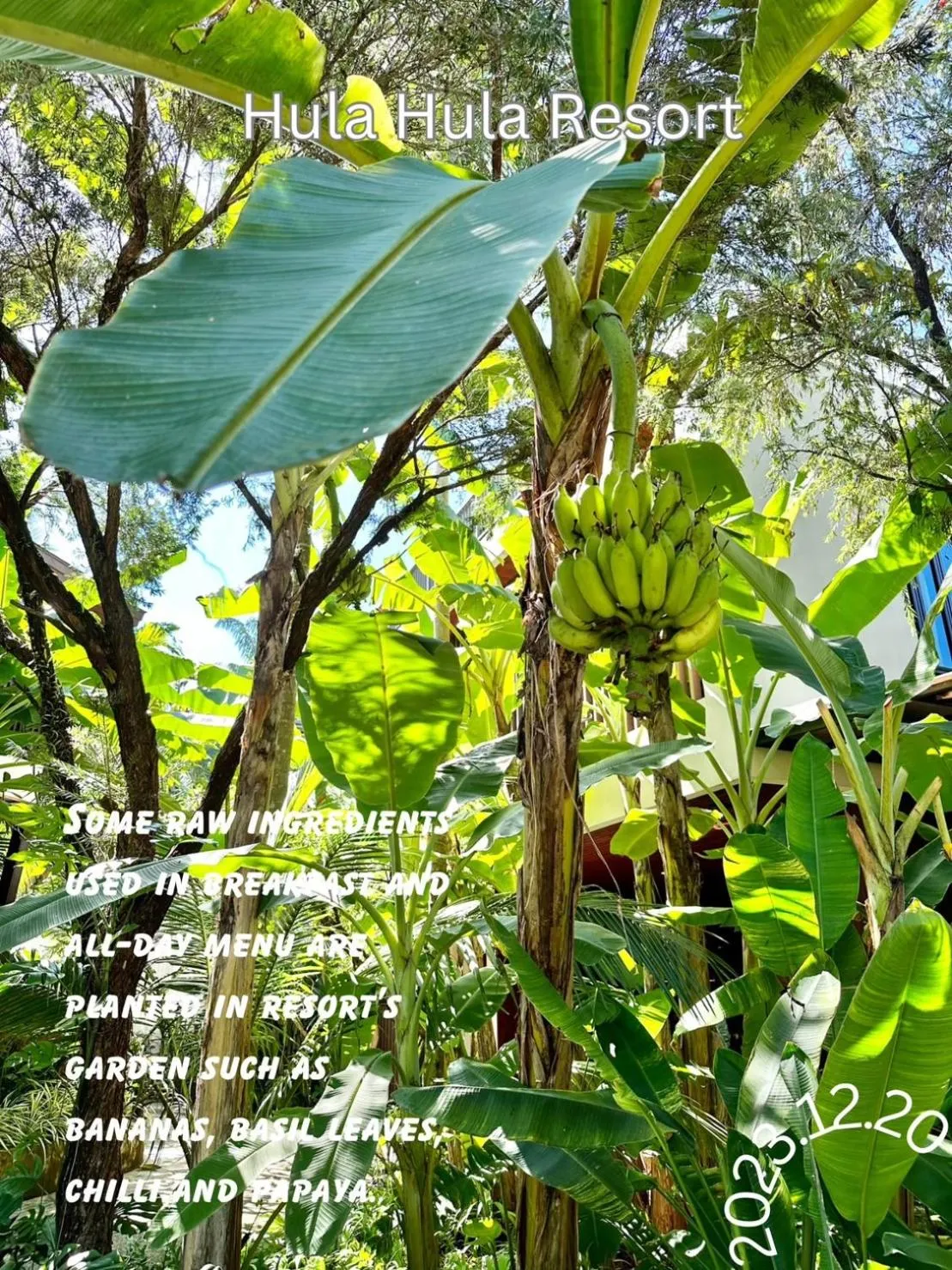 Hula Hula Resort, Ao Nang