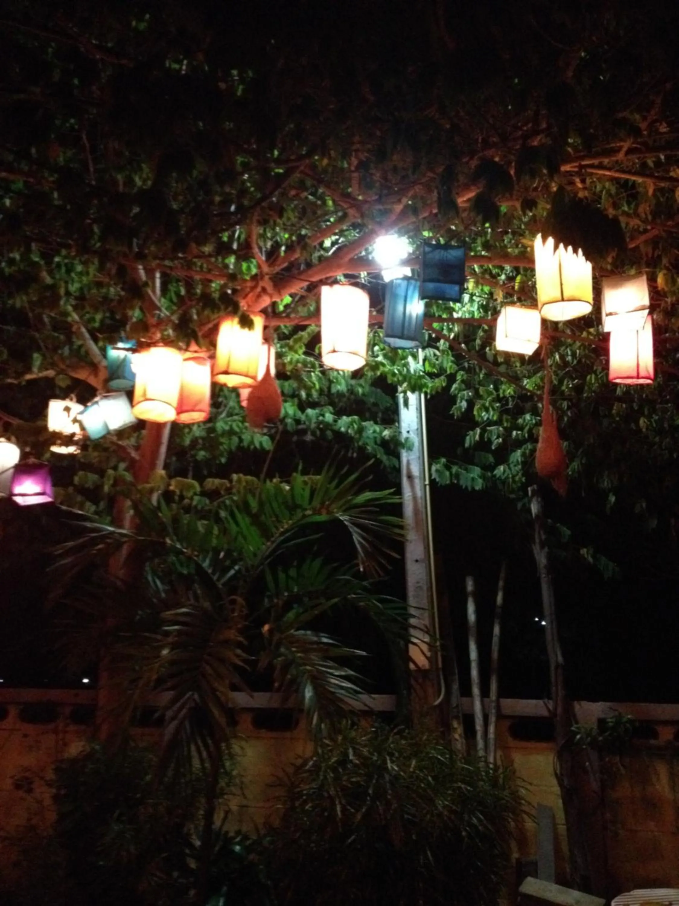 Off site in Milin Guesthouse