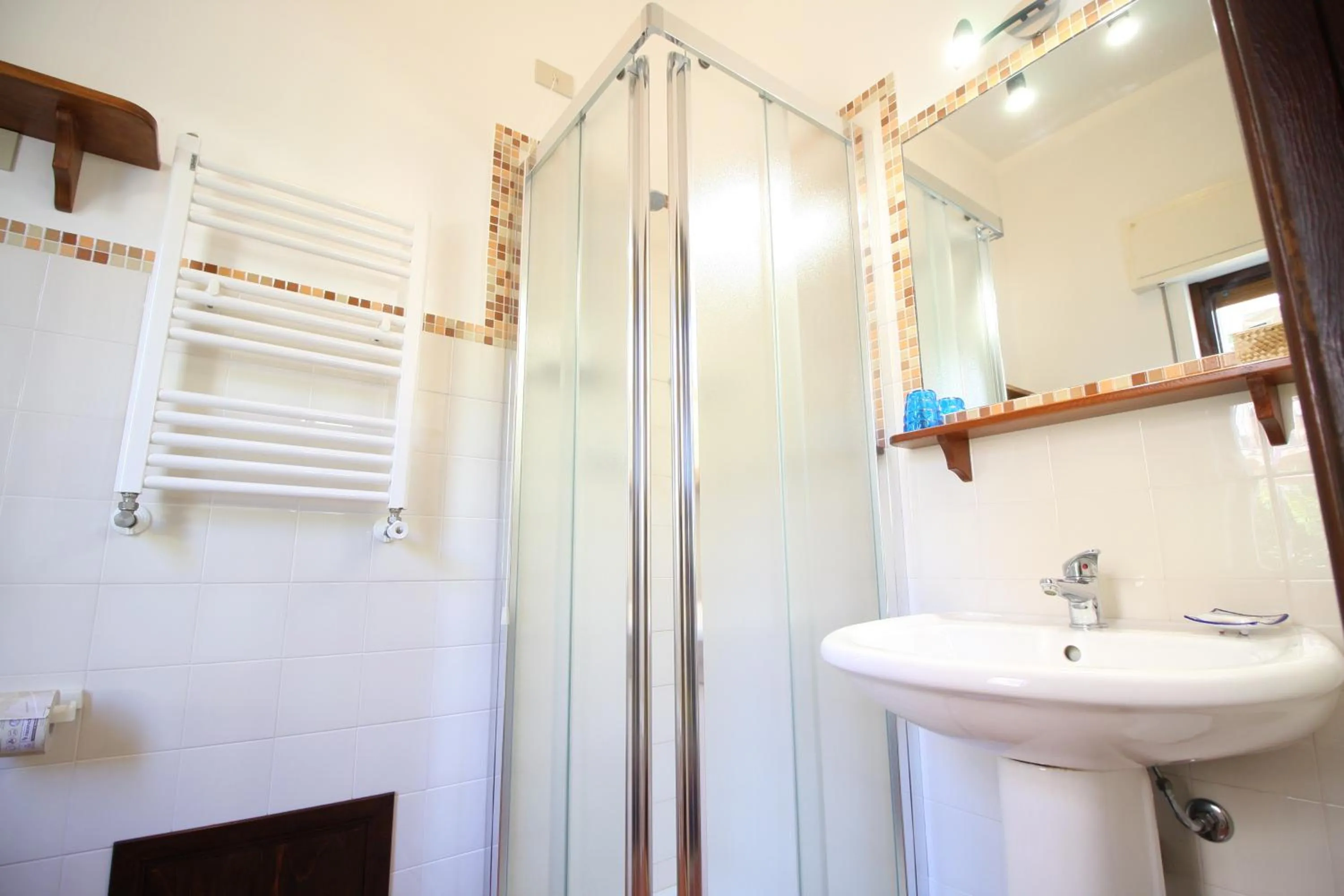 Shower in B&B Villa Rosa