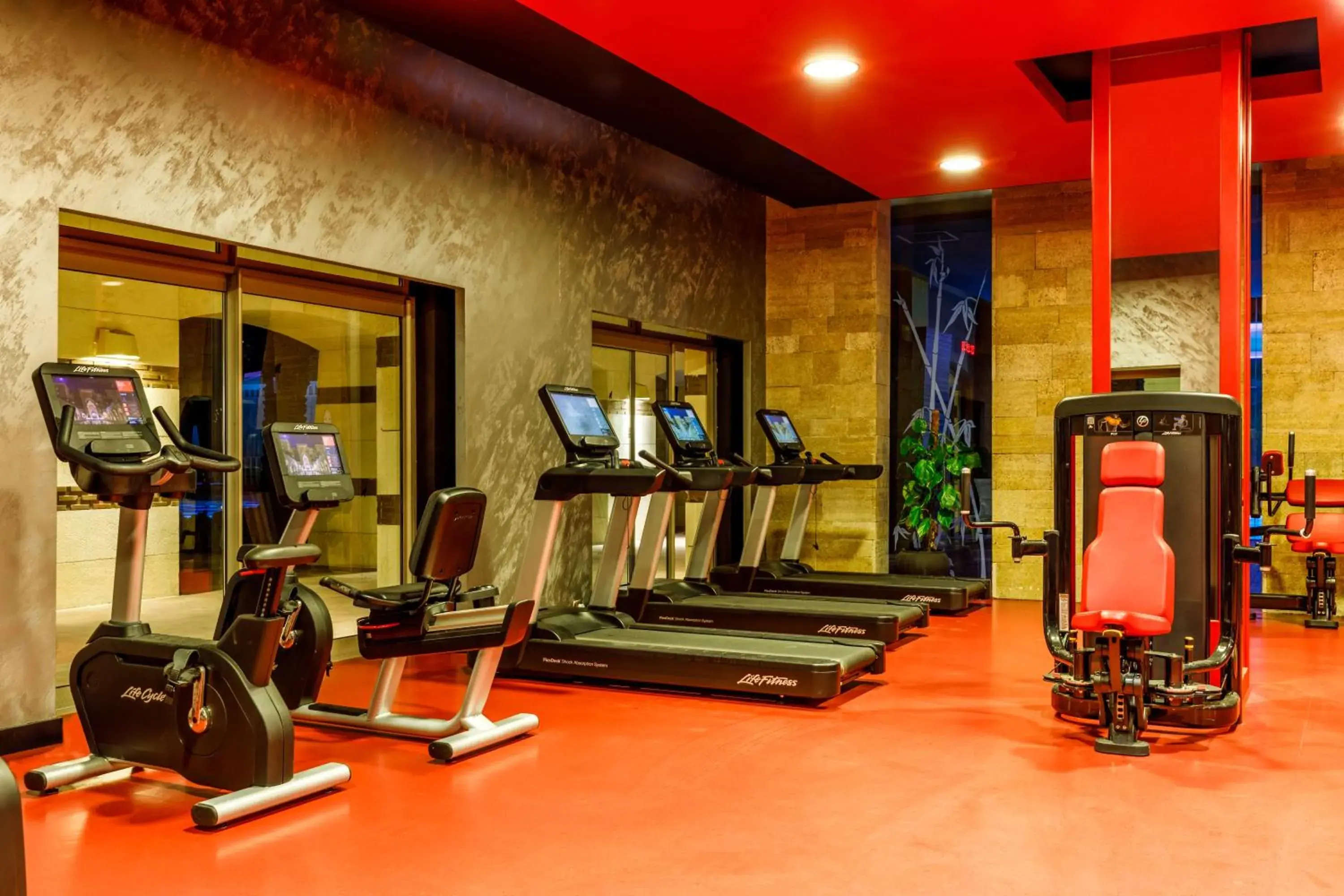Fitness centre/facilities in Kempinski Hotel The Dome Belek Fitness centre/facilities in Kempinski Hotel The Dome Belek
