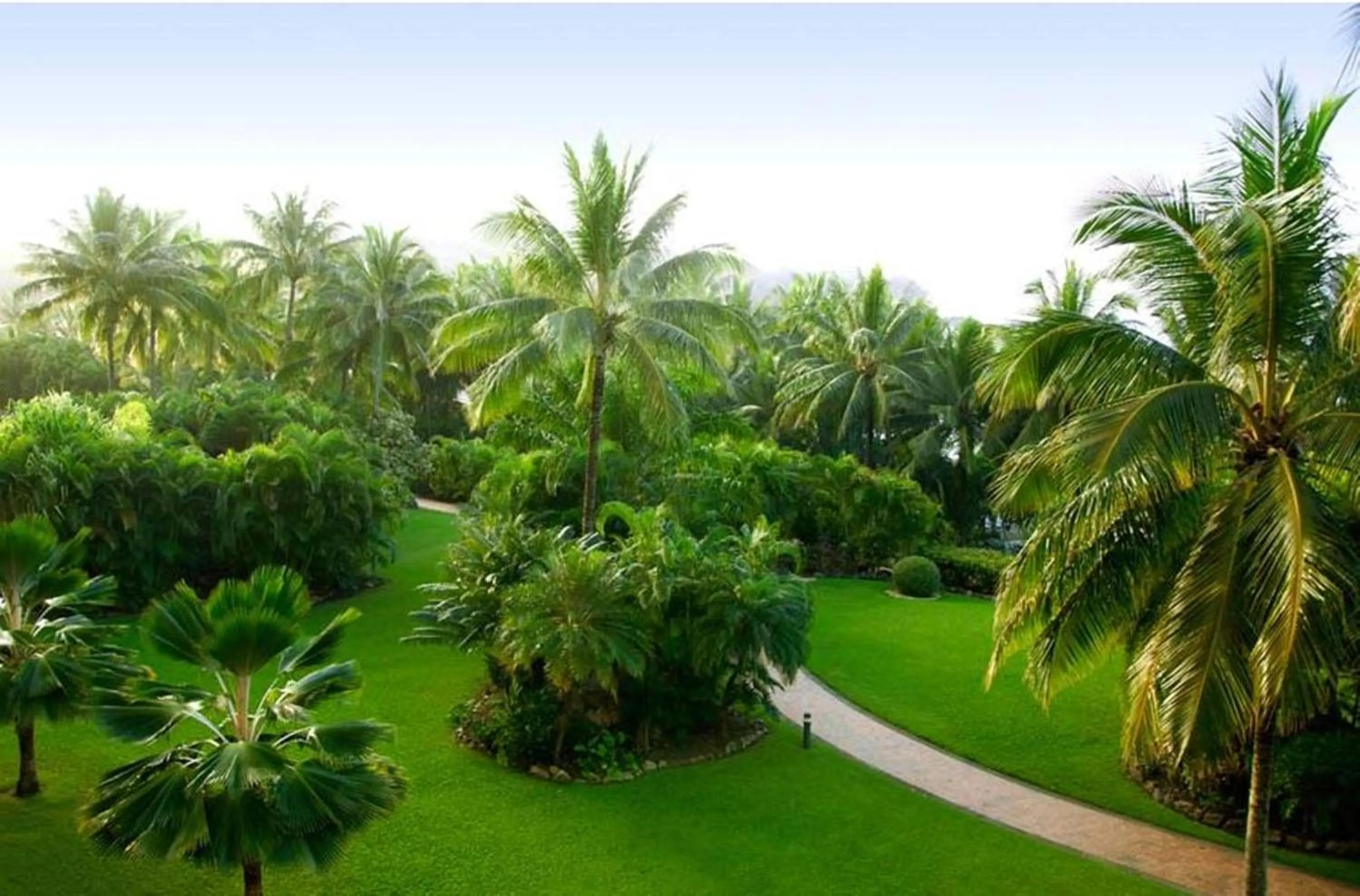 Garden in Whitsunday Apartments