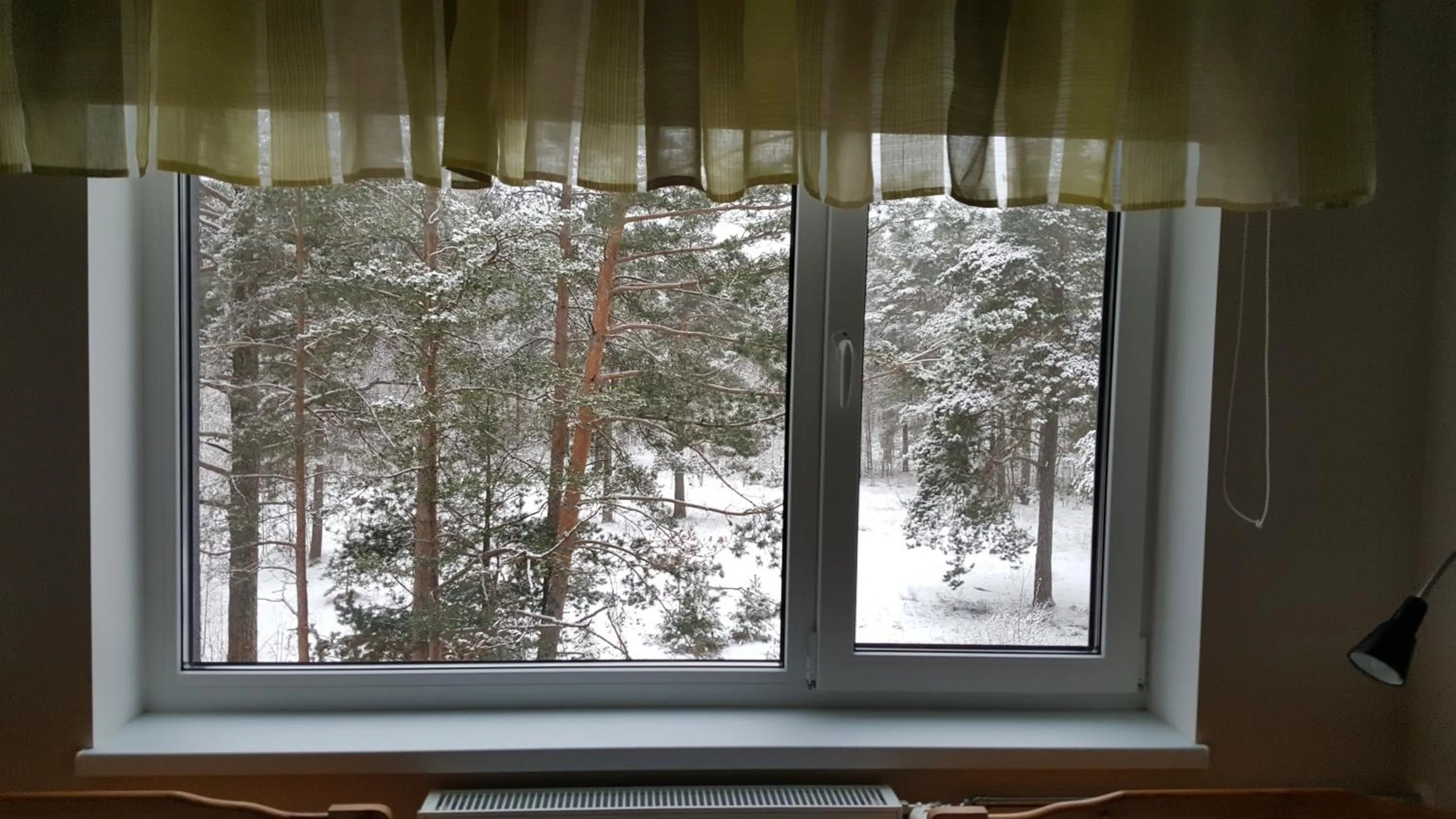 Garden view in Männiku JK