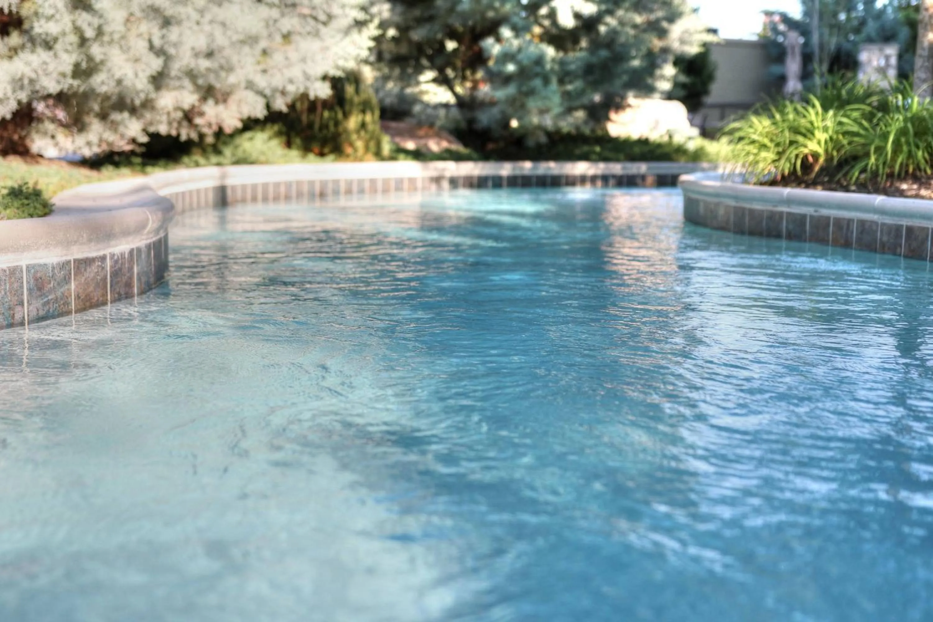 Swimming pool in Courtyard by Marriott Pigeon Forge