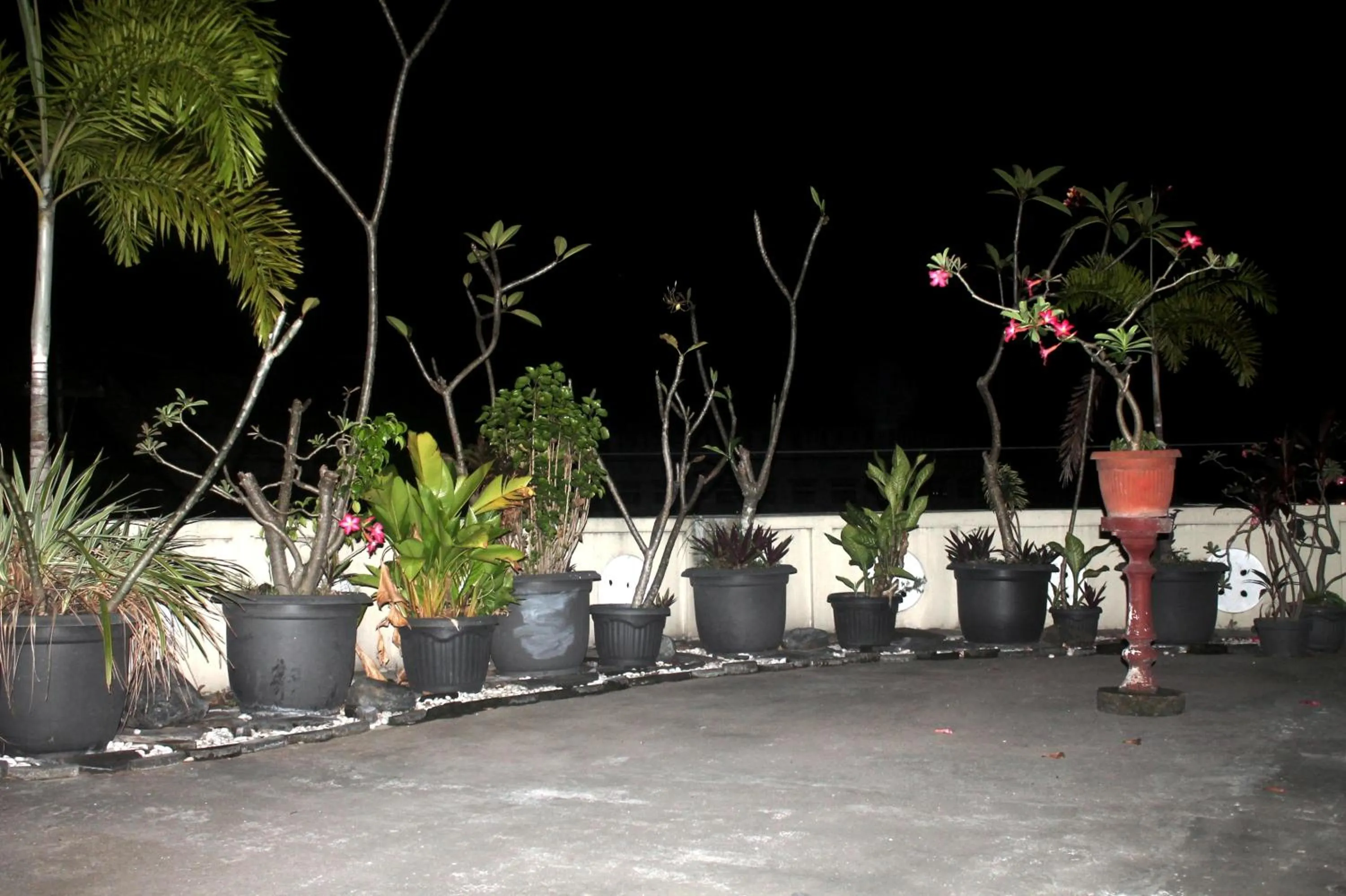 Garden in Hotel Mataram 2 Malioboro