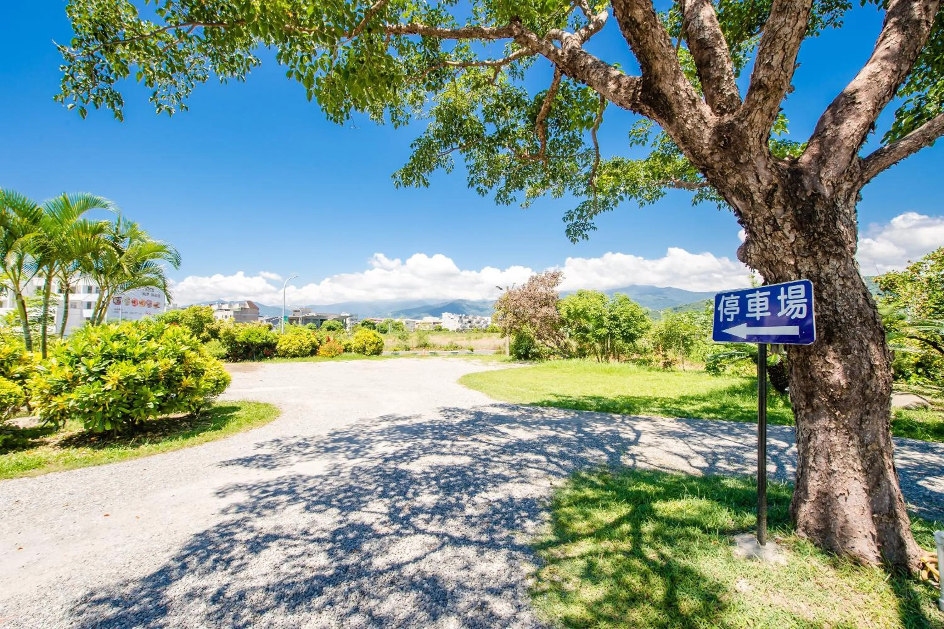 Parking in Summer Garden