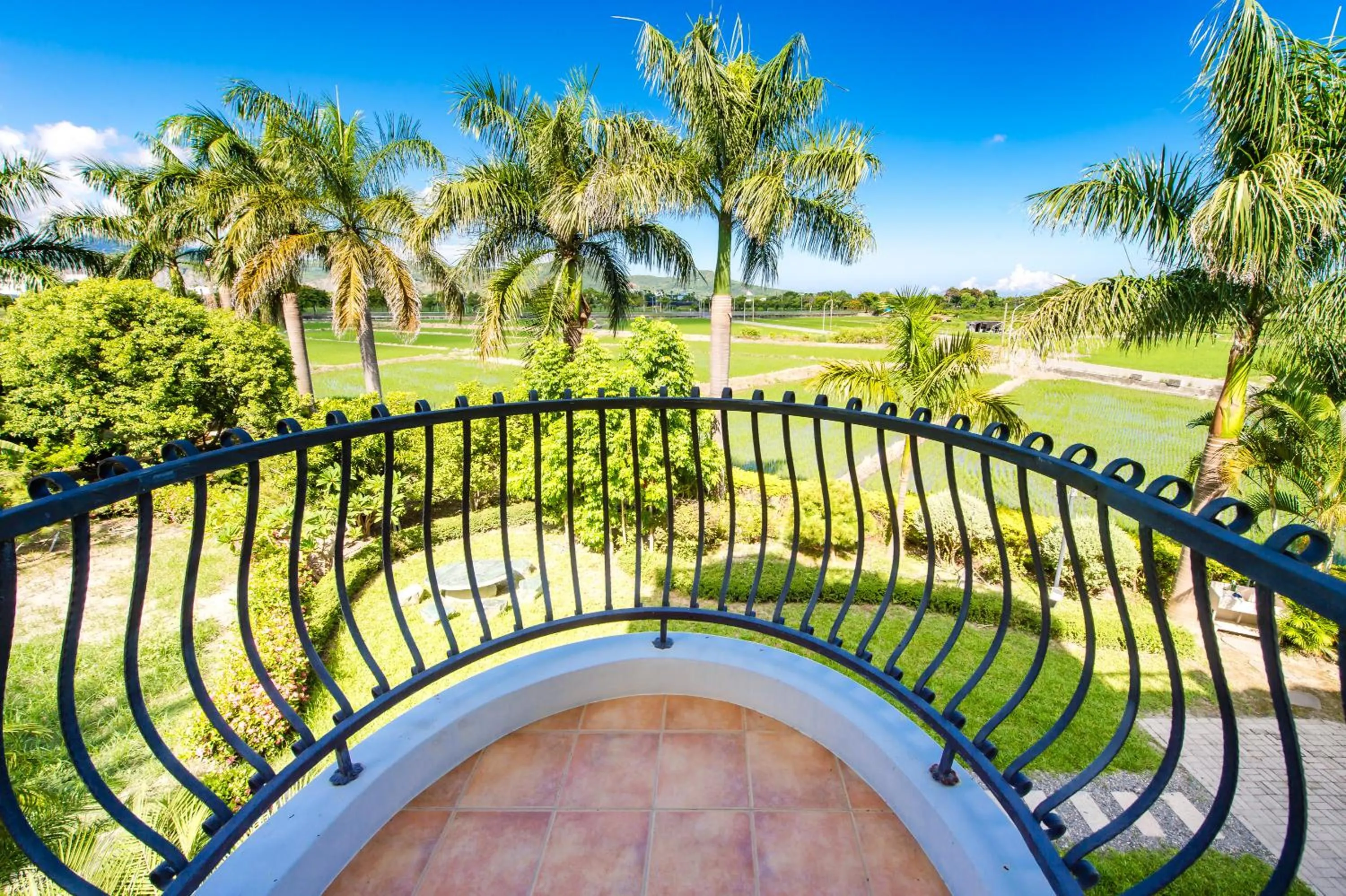 Balcony/Terrace in Summer Garden