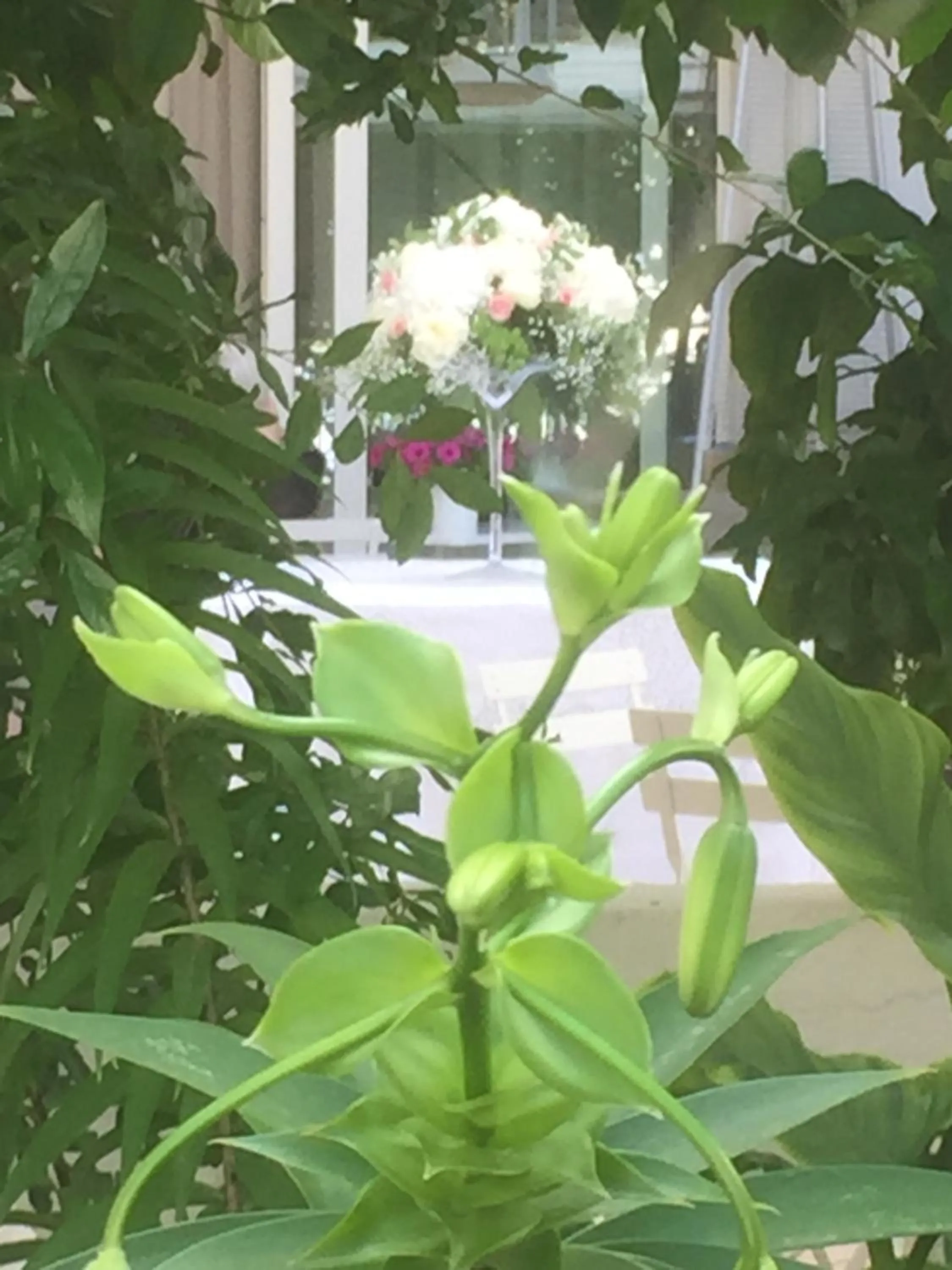 Decorative detail in FEMily B&B Bed and Breakfast di Puglia in - Bari
