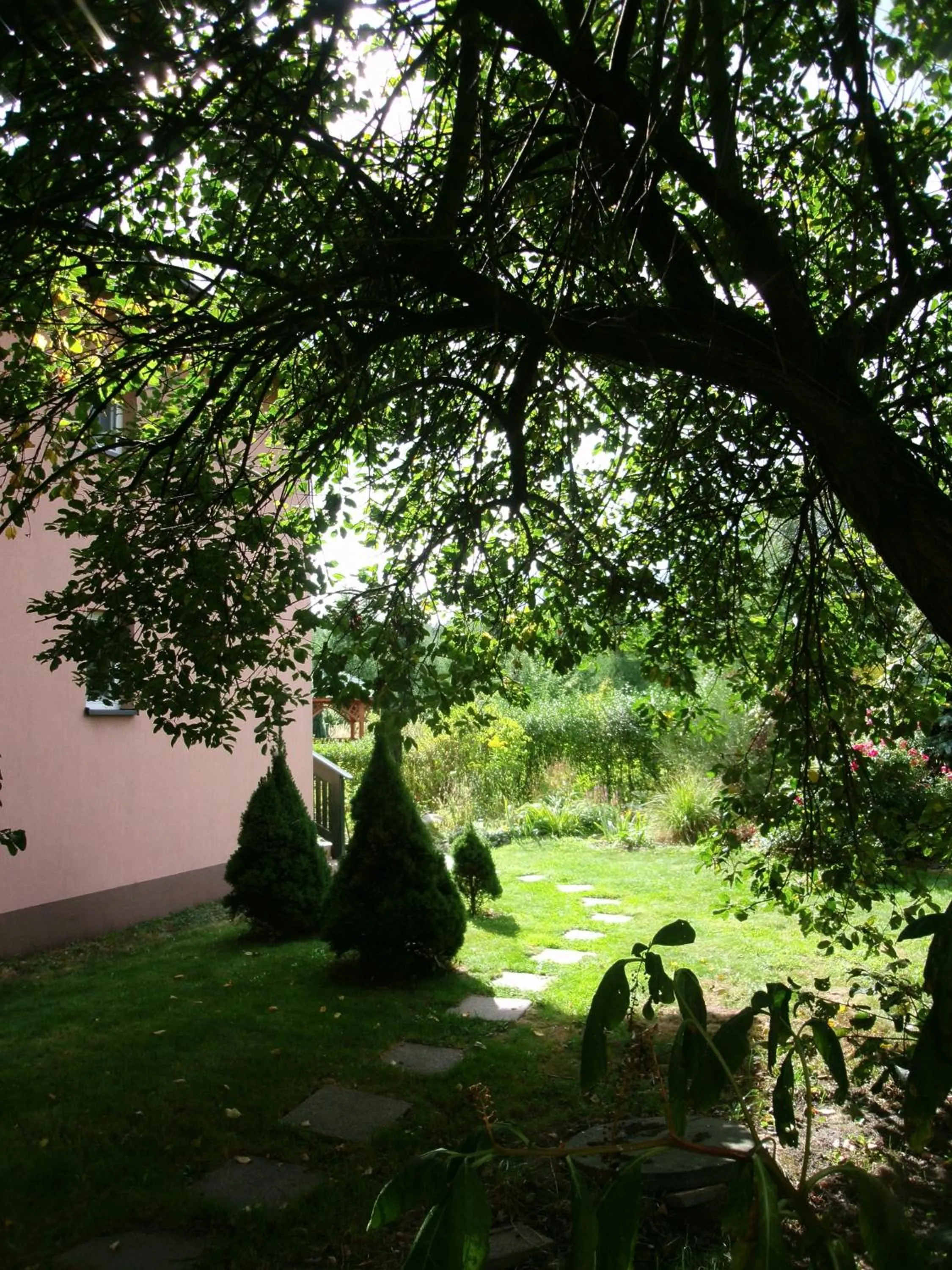 Garden in W Starym Ogrodnictwie