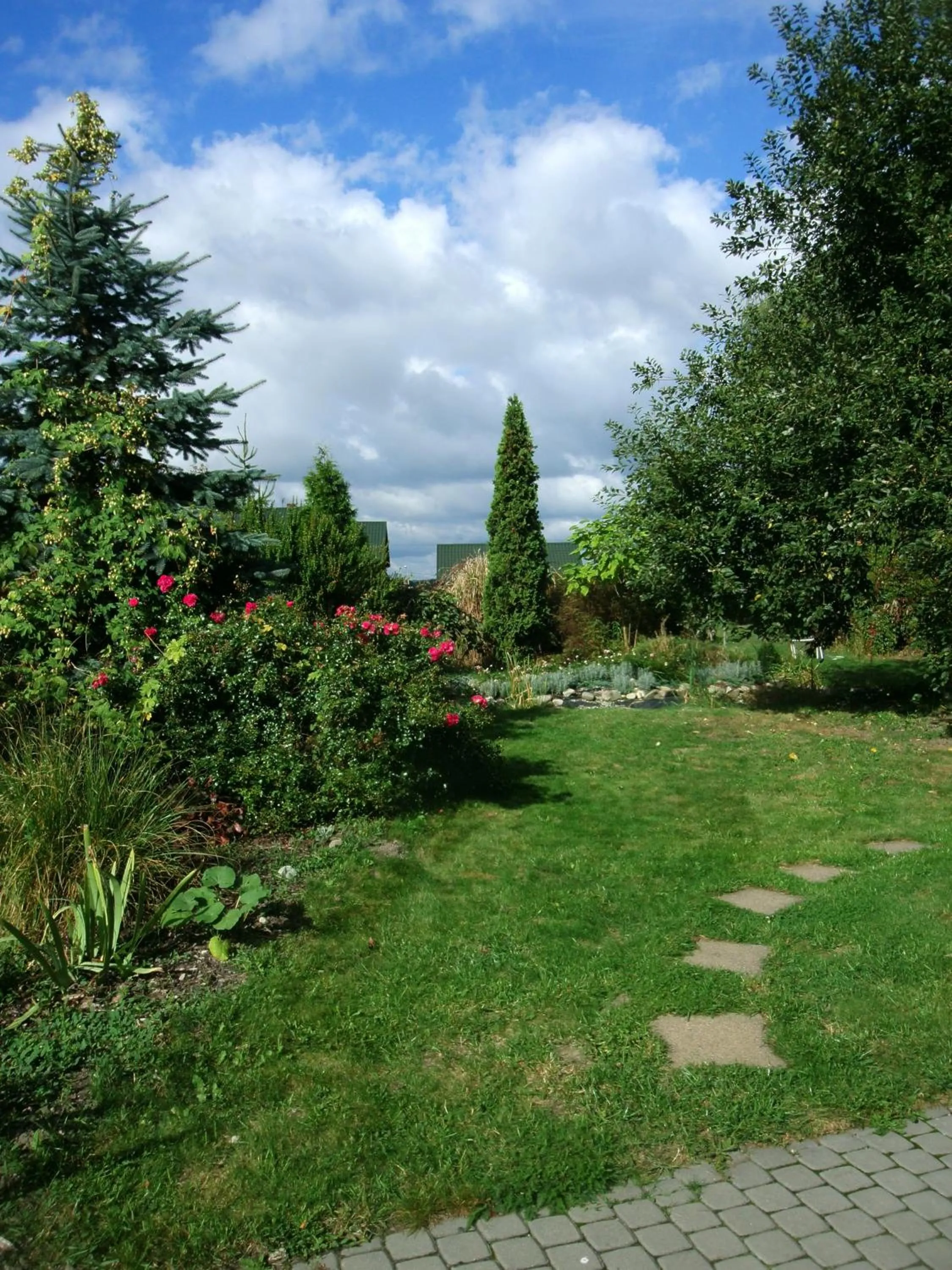 Garden in W Starym Ogrodnictwie