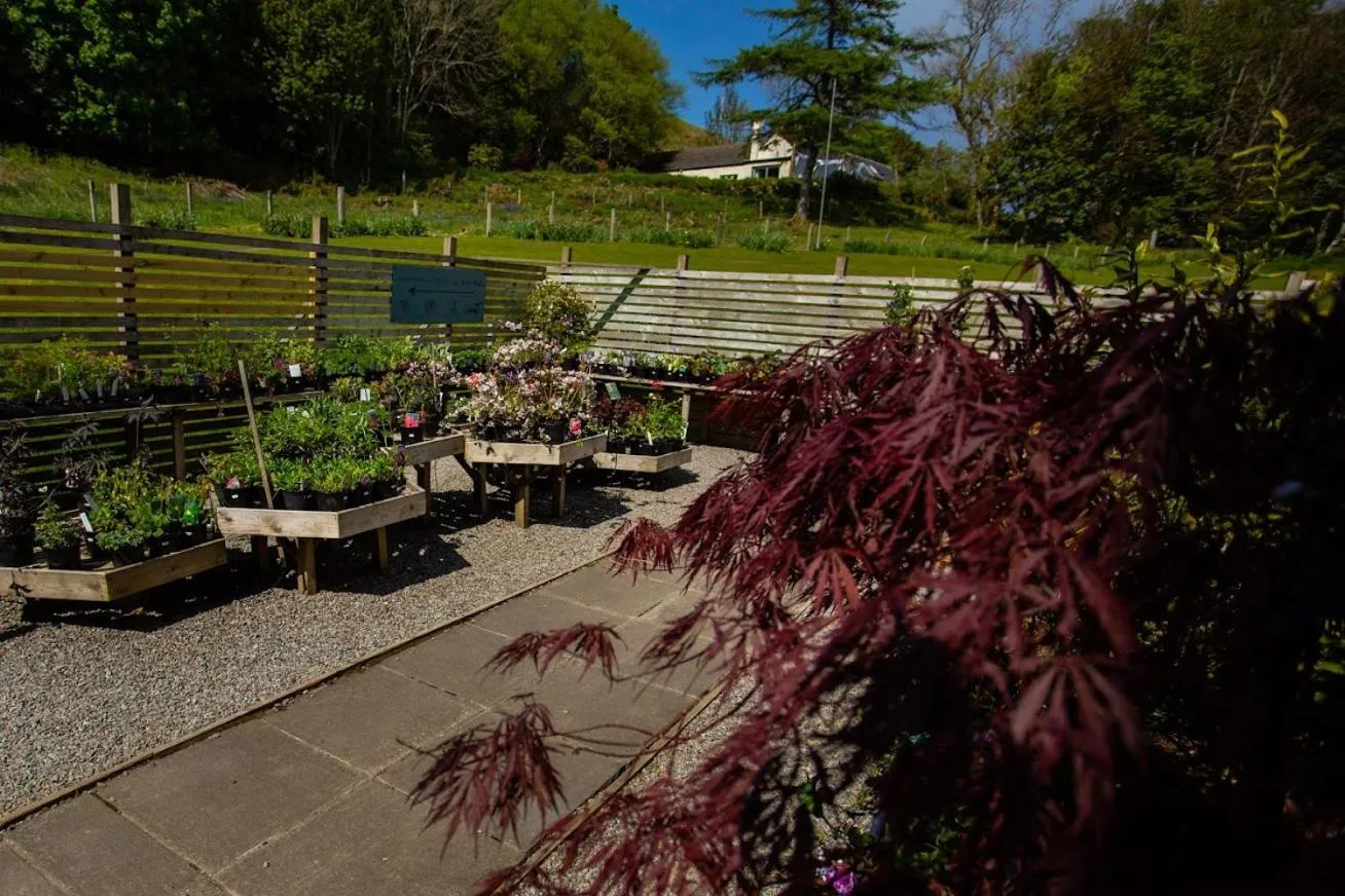 Garden in Loch Melfort Hotel
