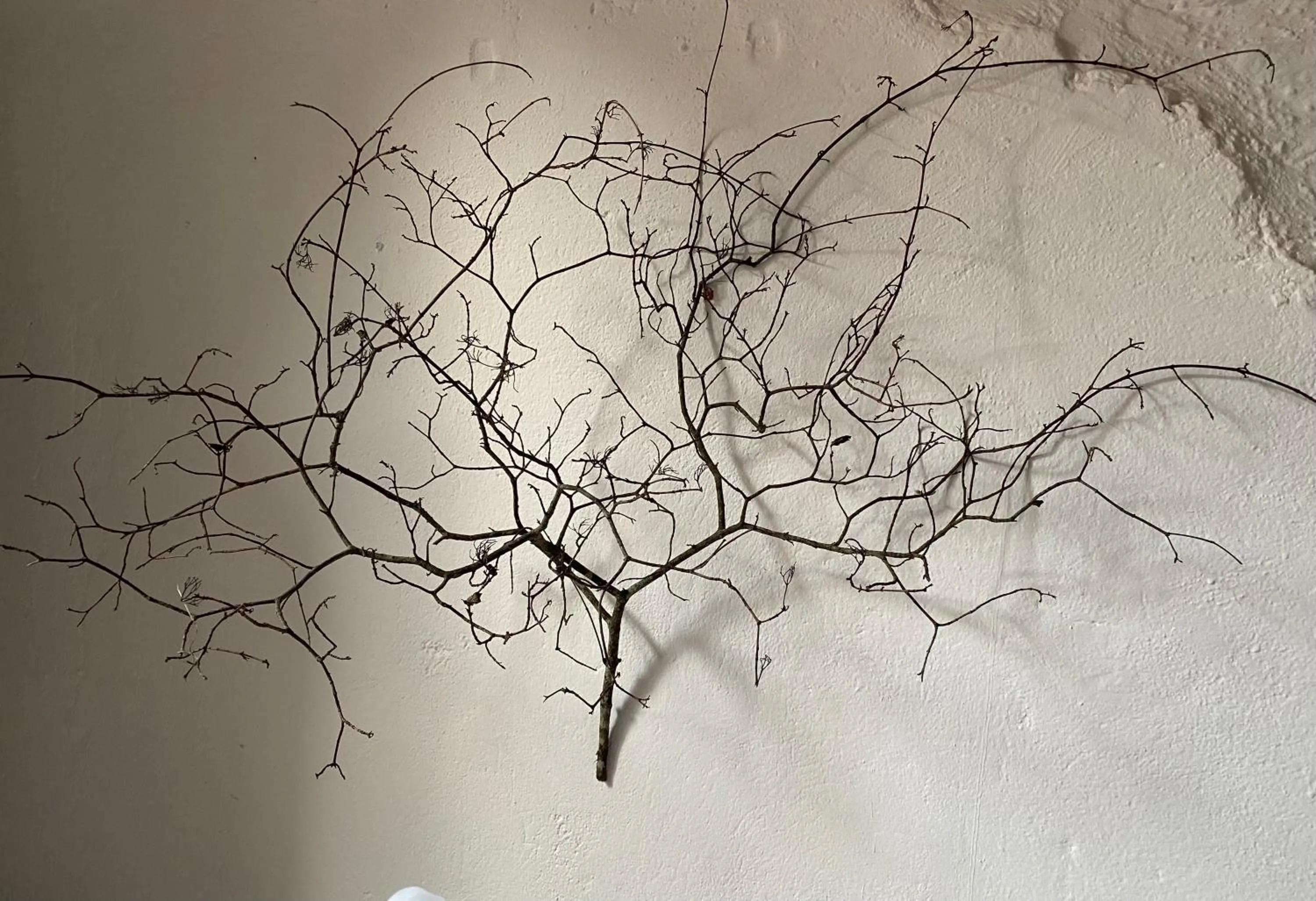 La maison sur la place