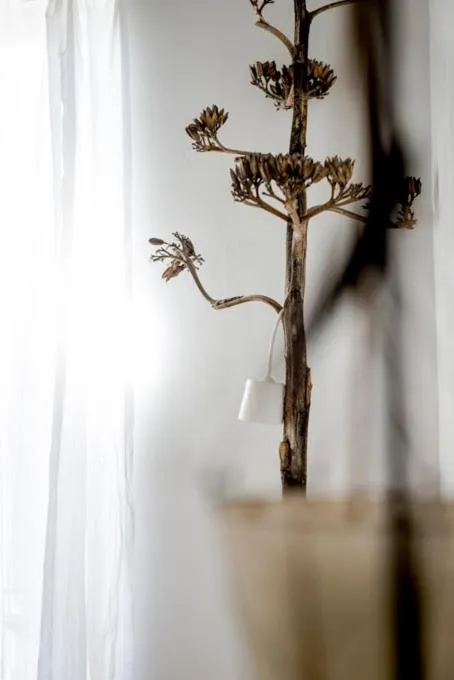 La maison sur la place