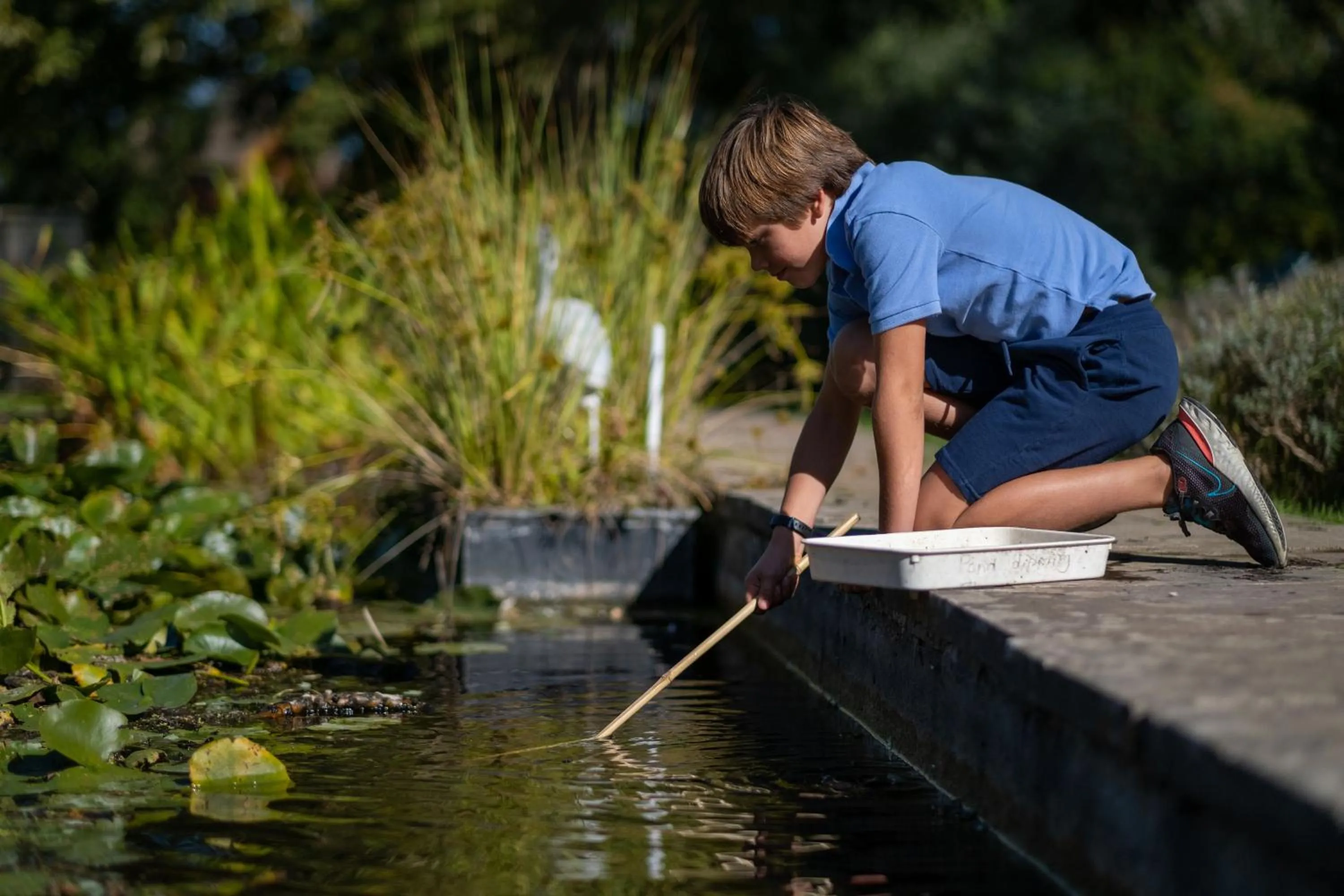 Garden in Woolley Grange Hotel