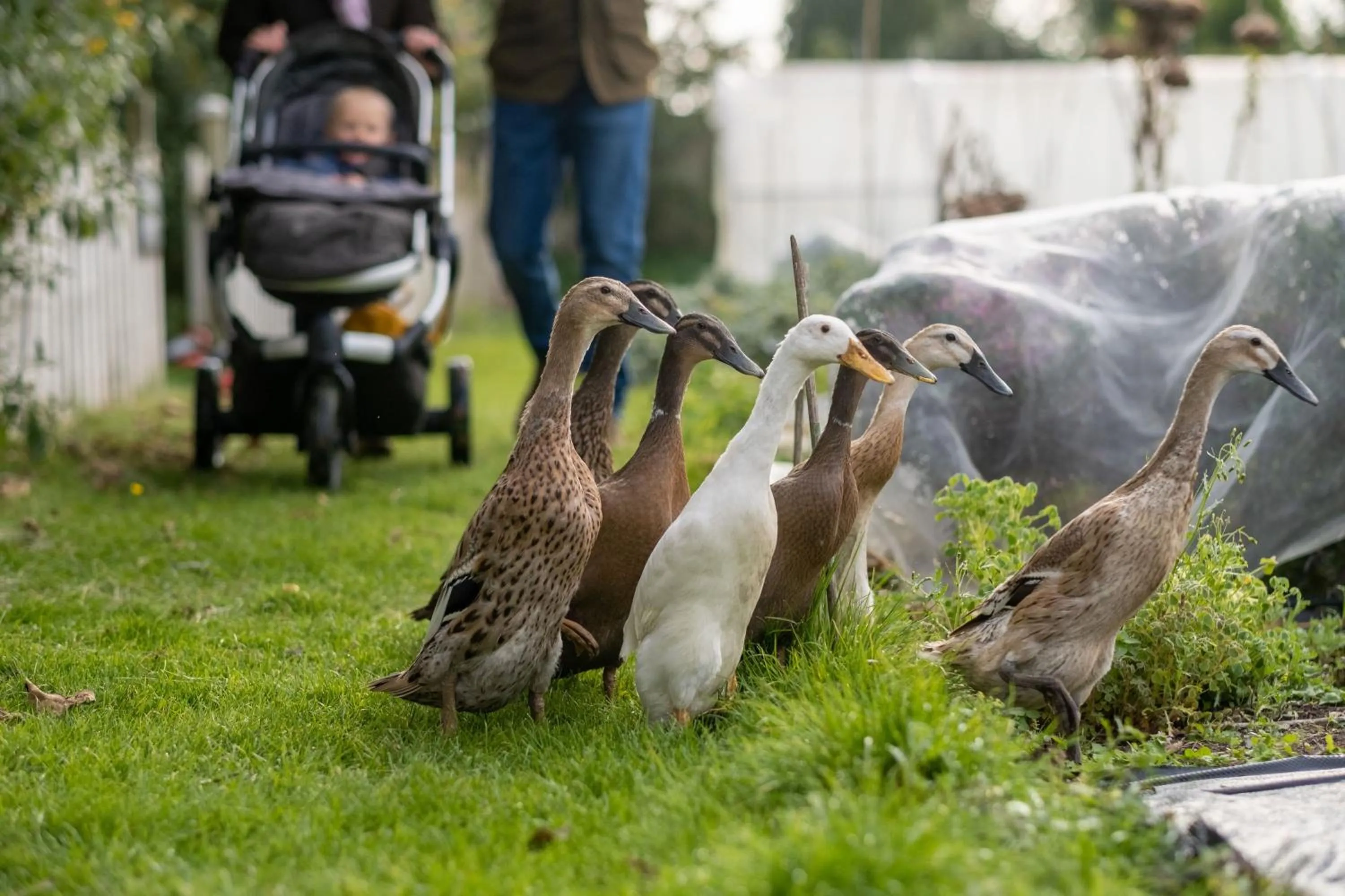 Garden in Woolley Grange Hotel
