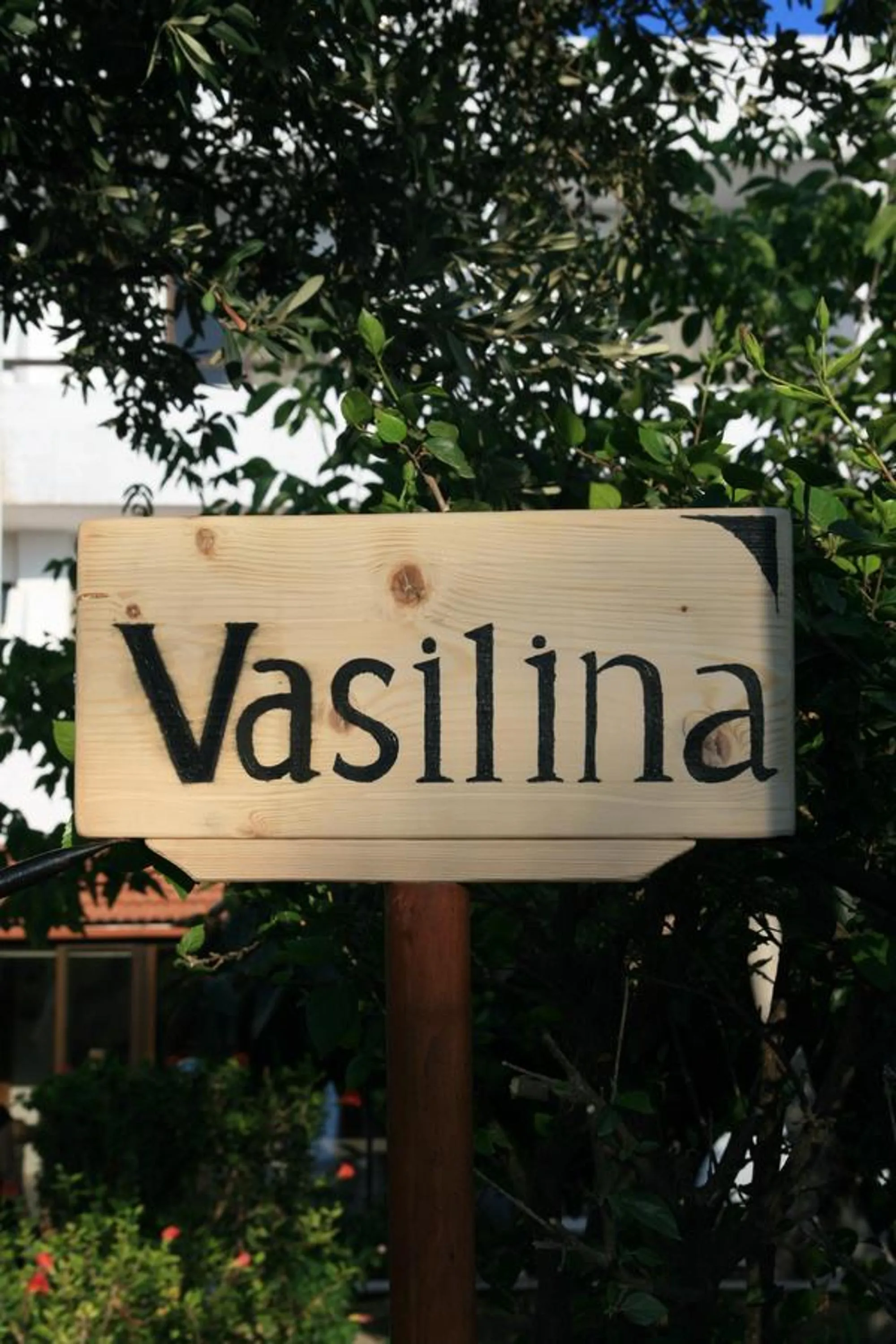 Vasilina