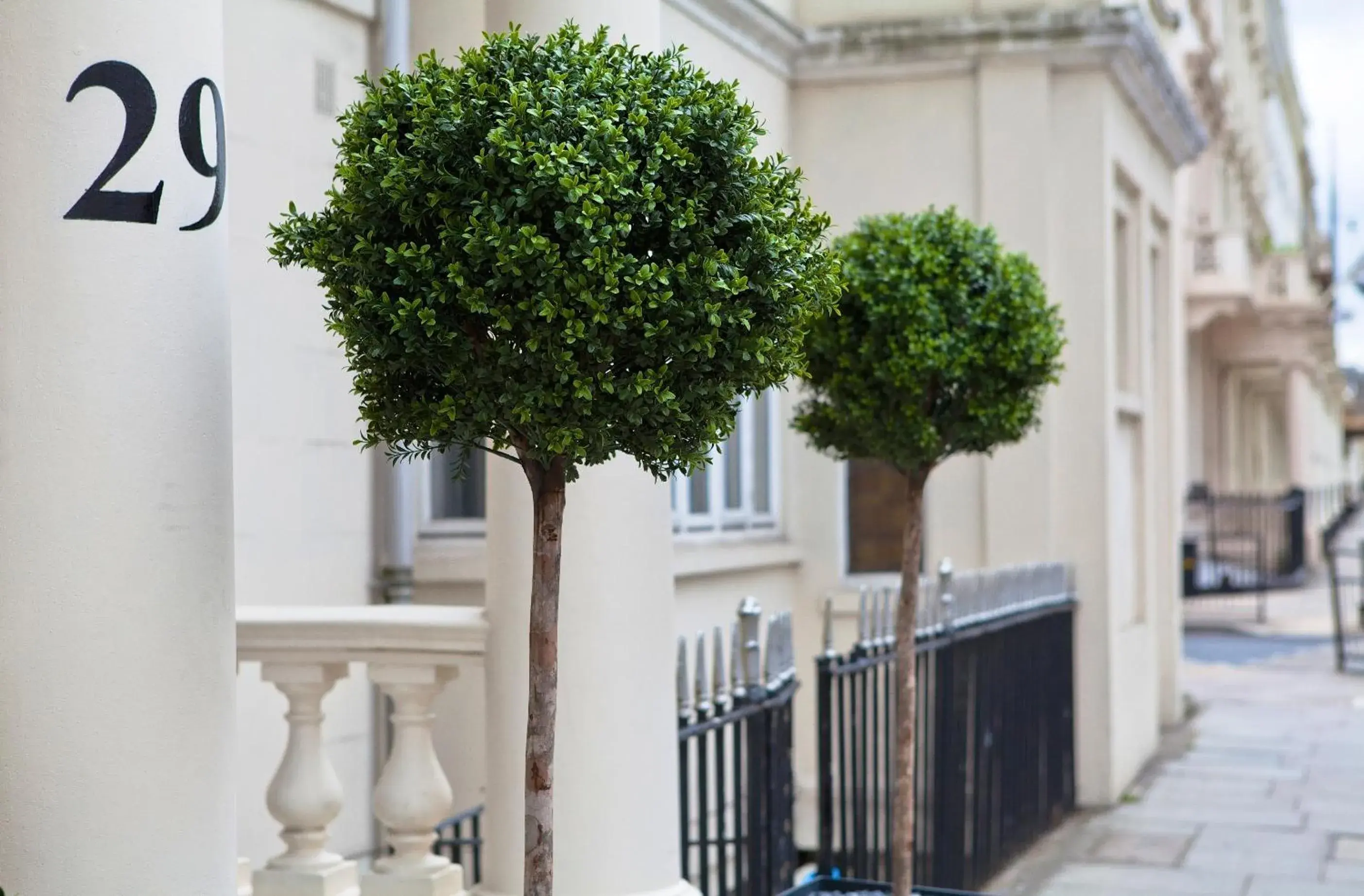 Facade/entrance in The 29 London Facade/entrance in The 29 London