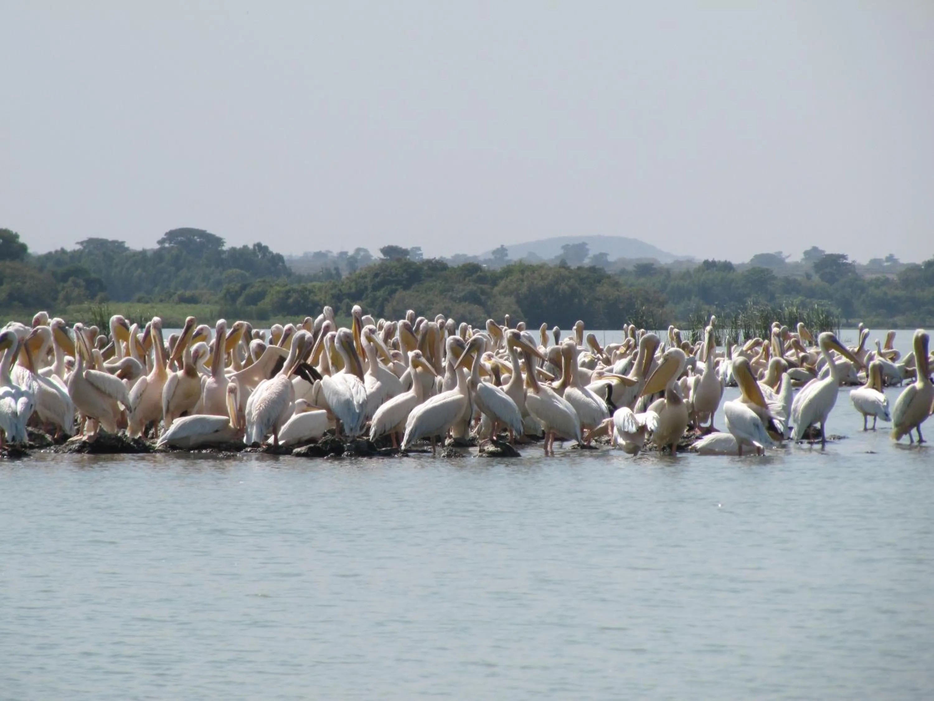 Lakemark Hotel and Tour Service Bahir Dar