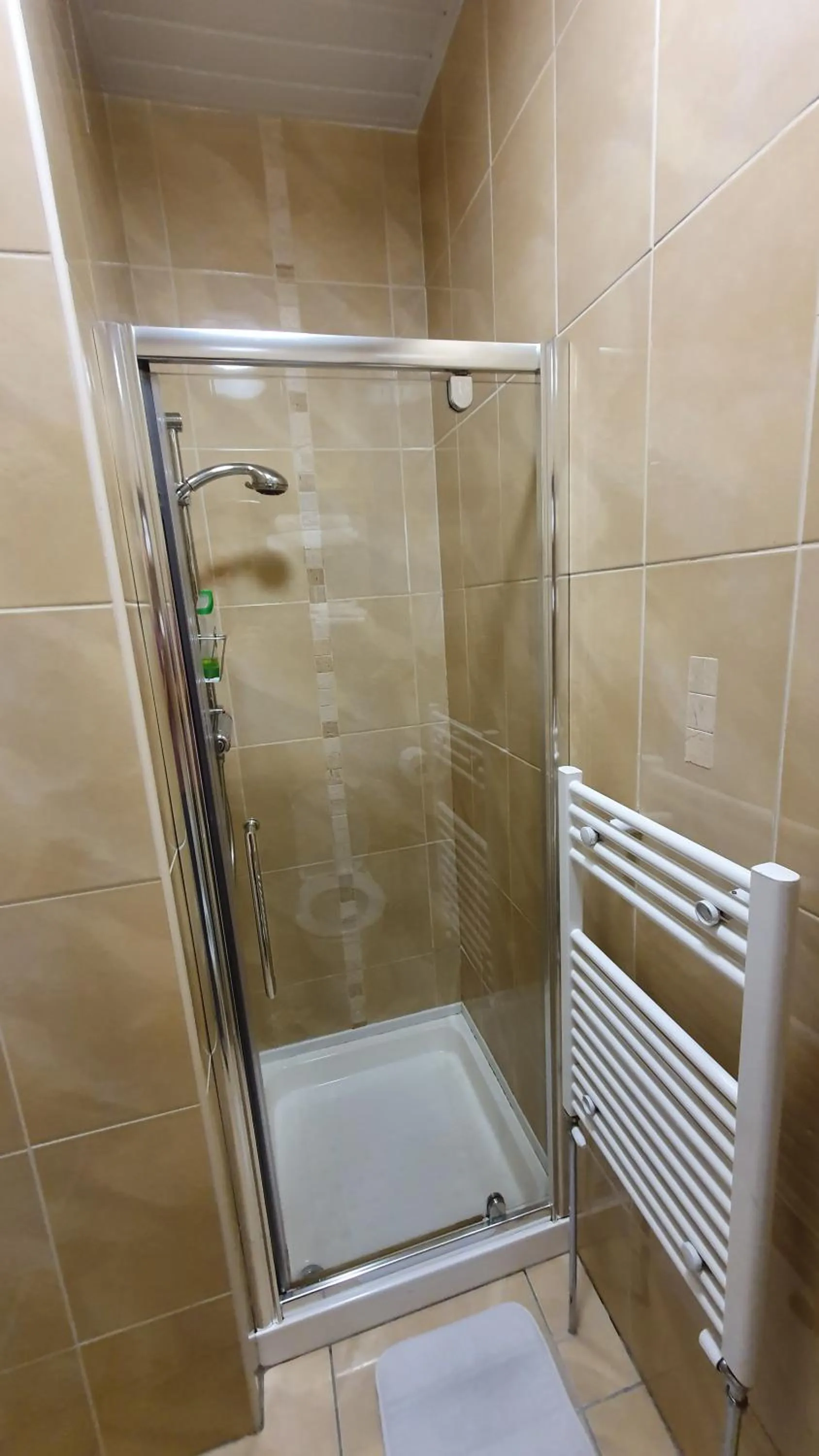 Shower in Rose Park House
