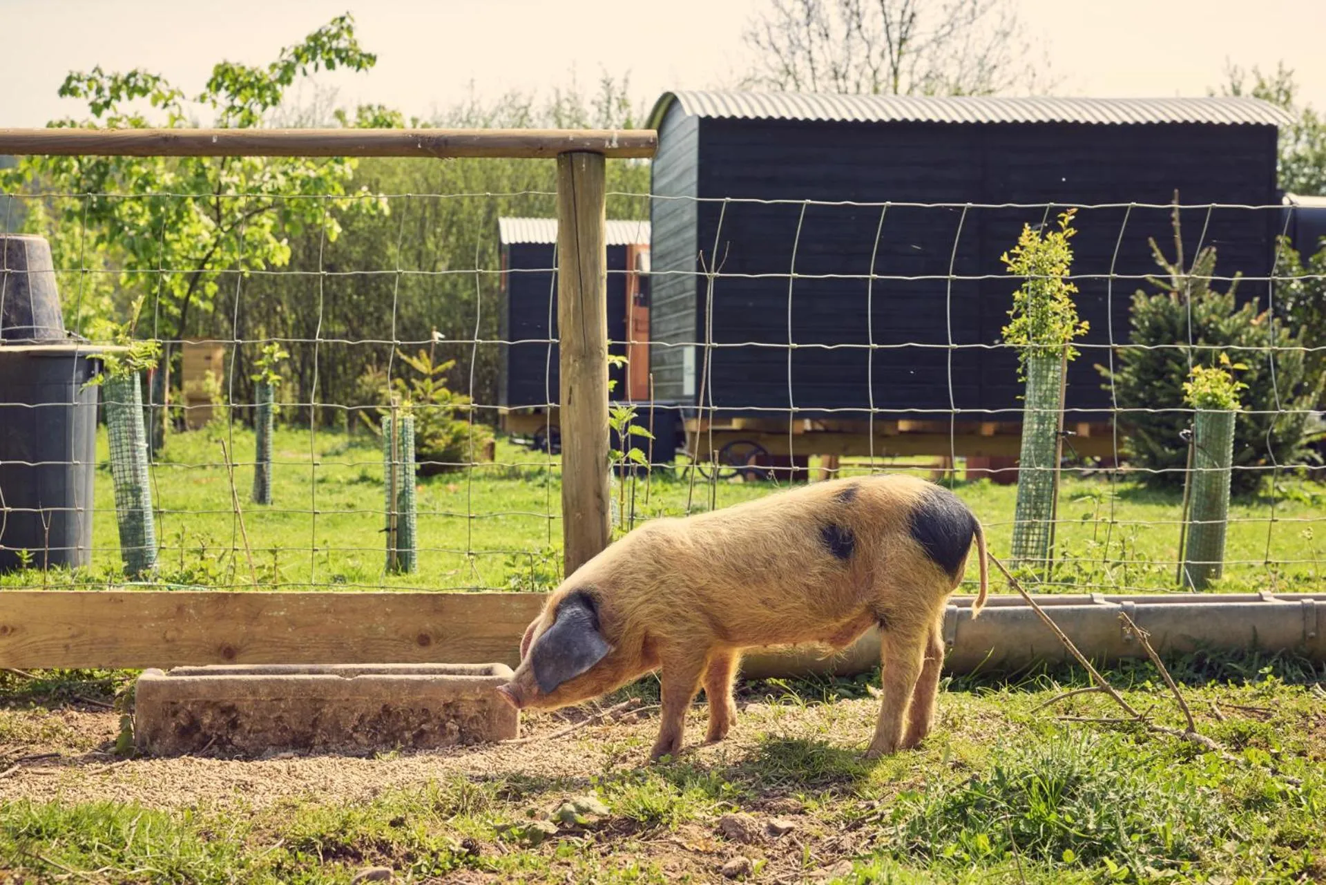 Spa and wellness centre/facilities in Riverside Inn, Aymestrey