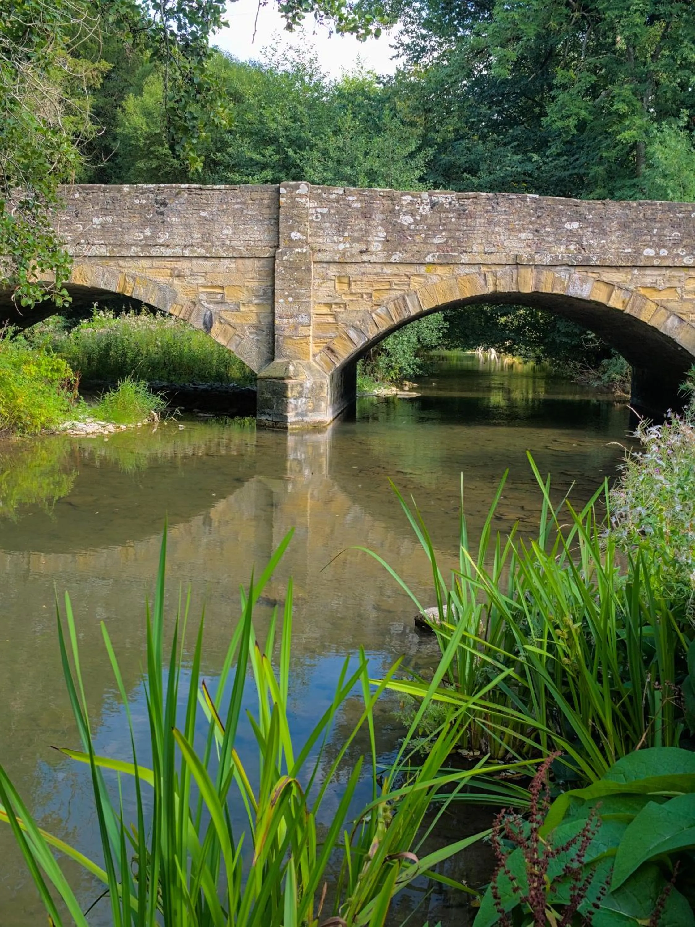 River view in Riverside Inn, Aymestrey