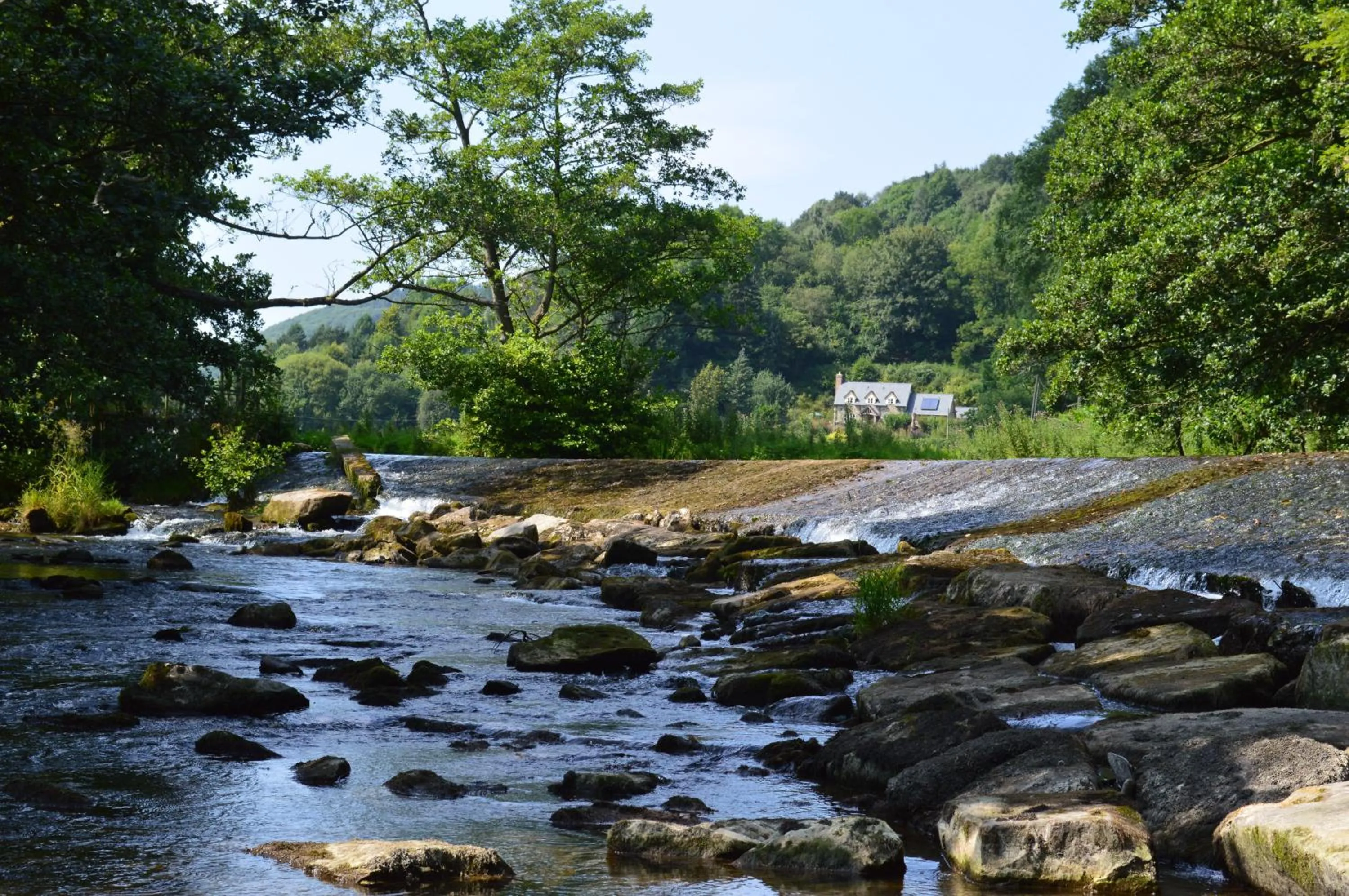Natural landscape in Riverside Inn, Aymestrey