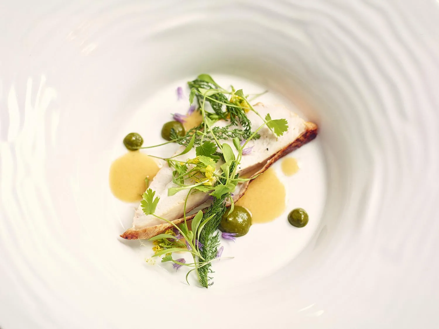 Food in Riverside Inn, Aymestrey