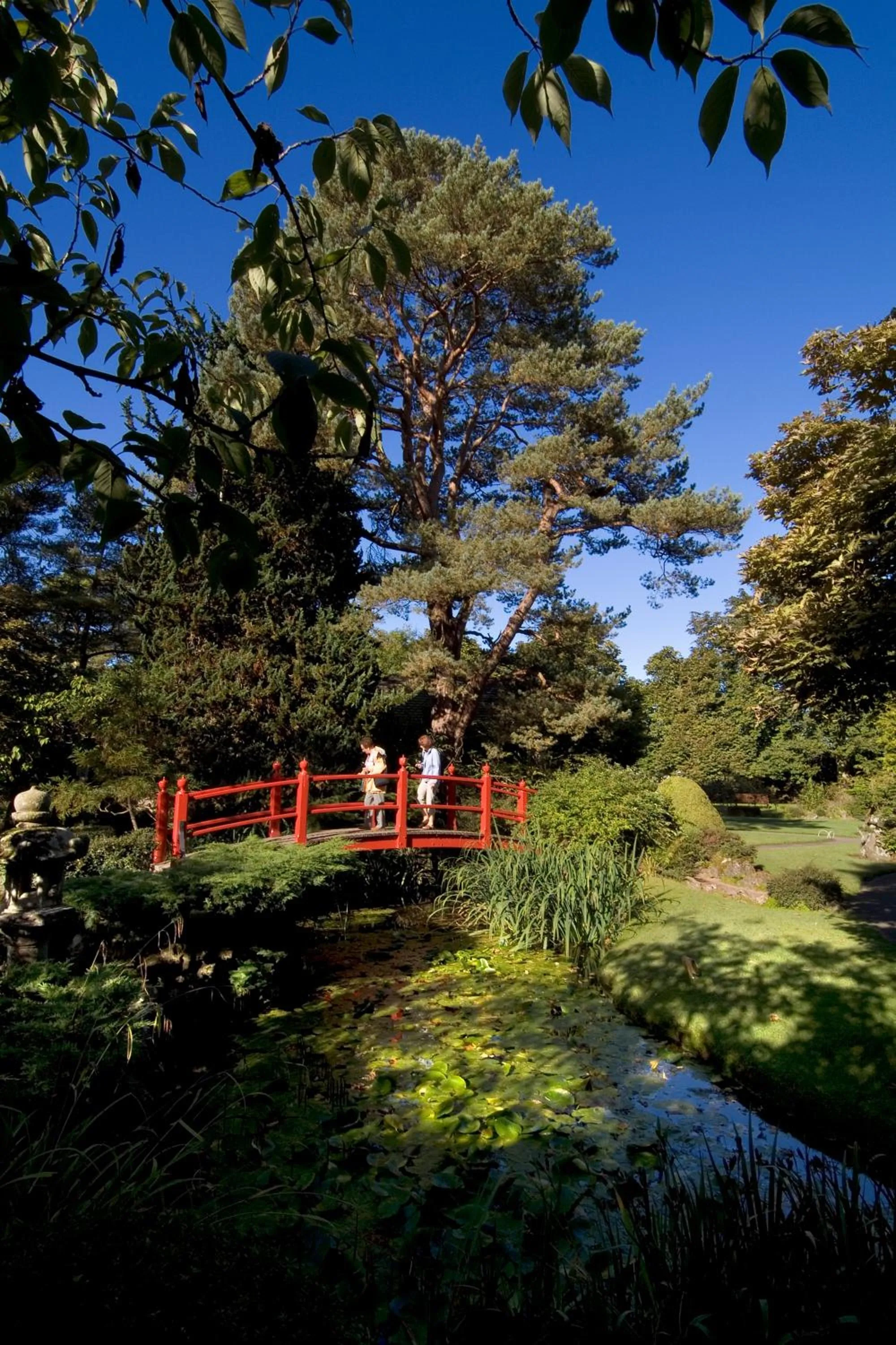 Nearby landmark in Silken Thomas Accommodation