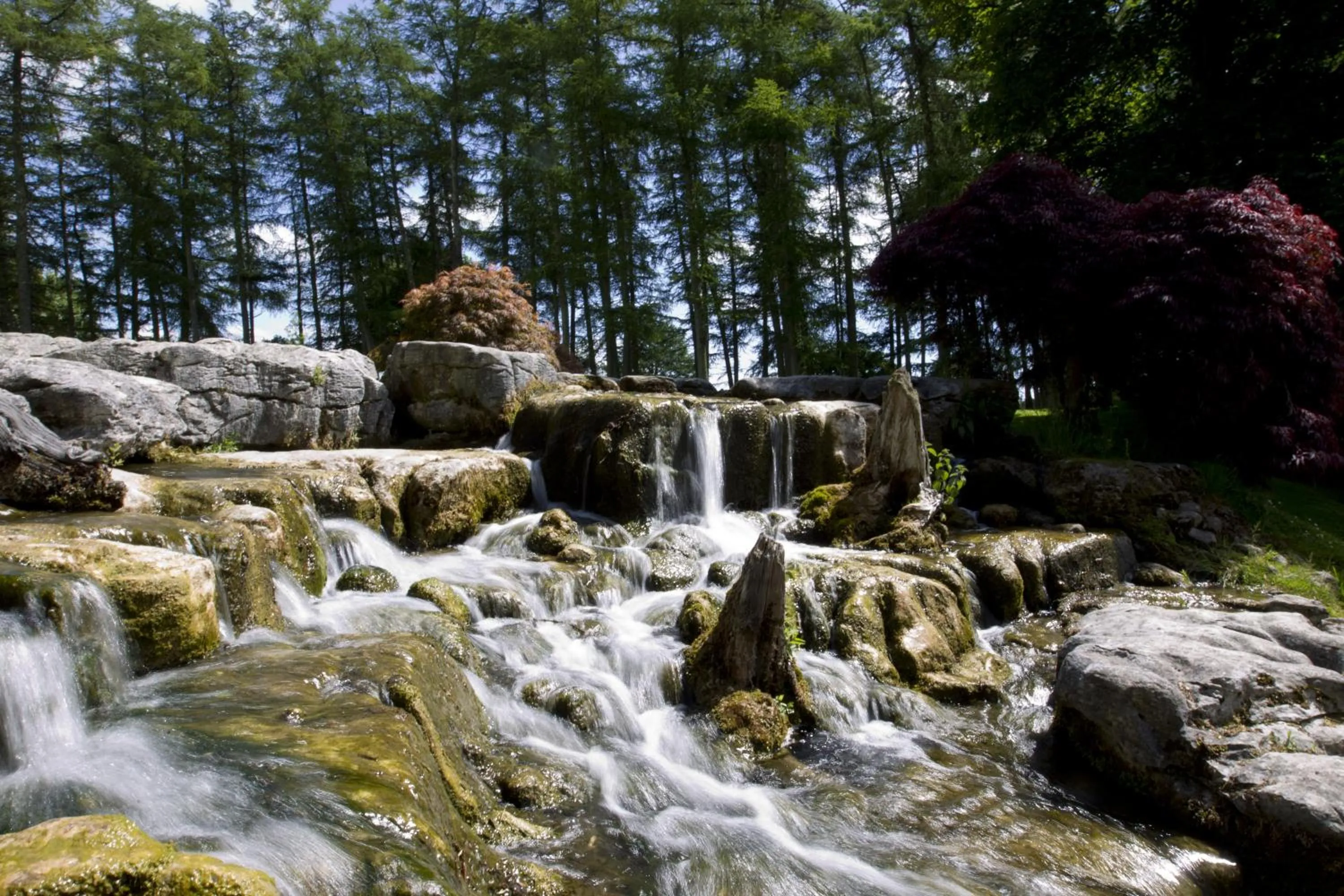 Nearby landmark in Silken Thomas Accommodation