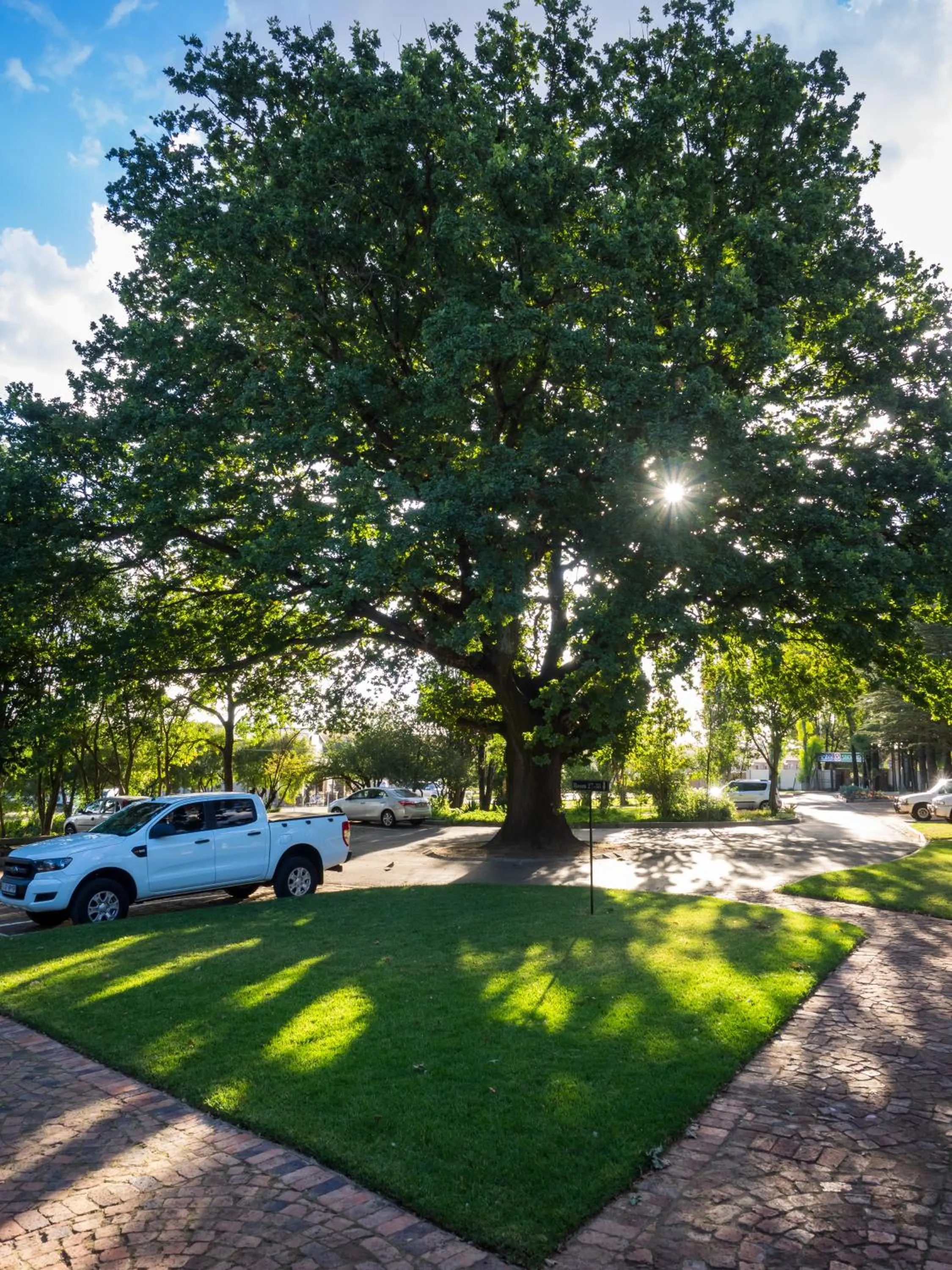 Garden in Hotel @ Secunda