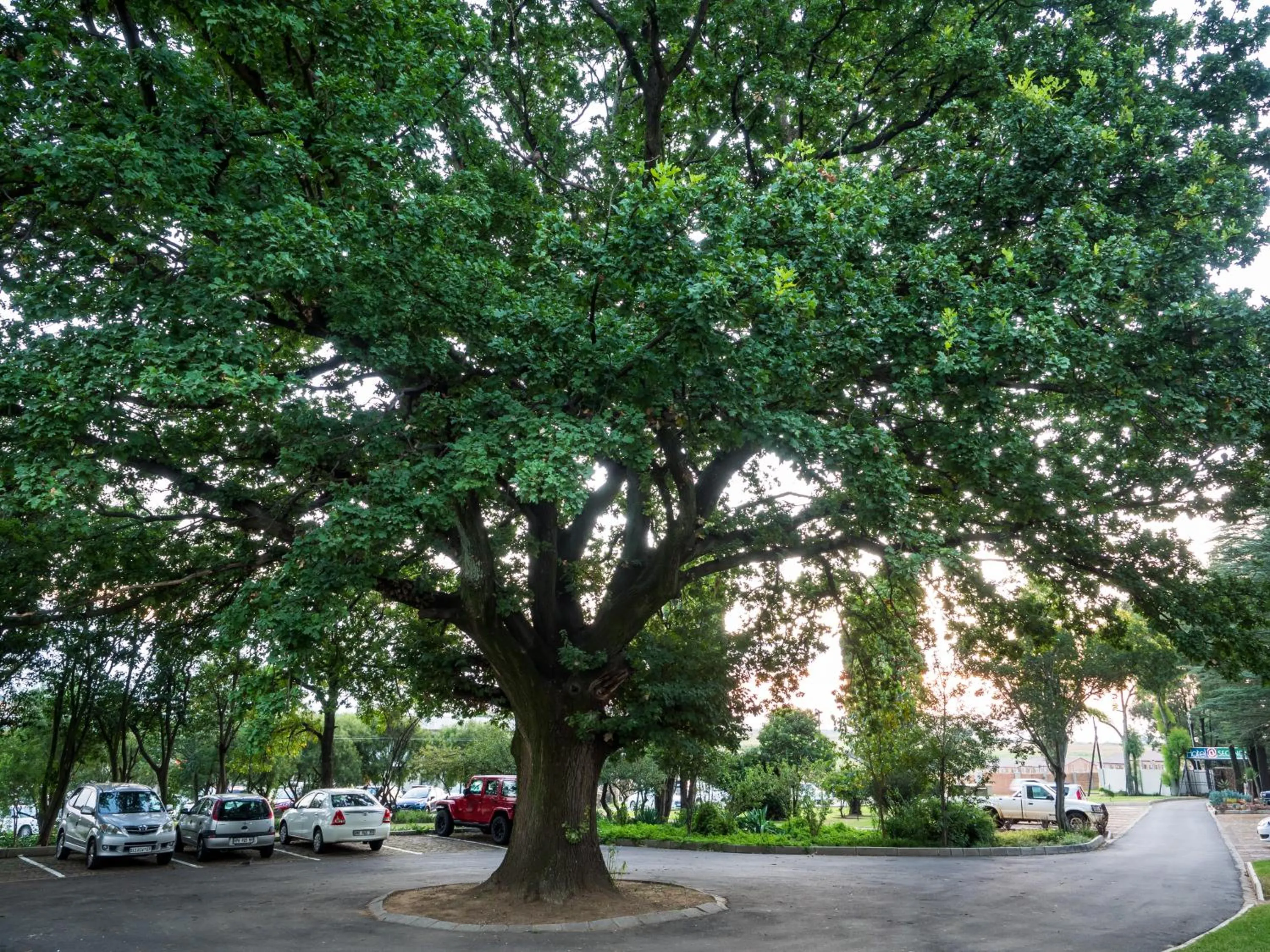 Garden in Hotel @ Secunda