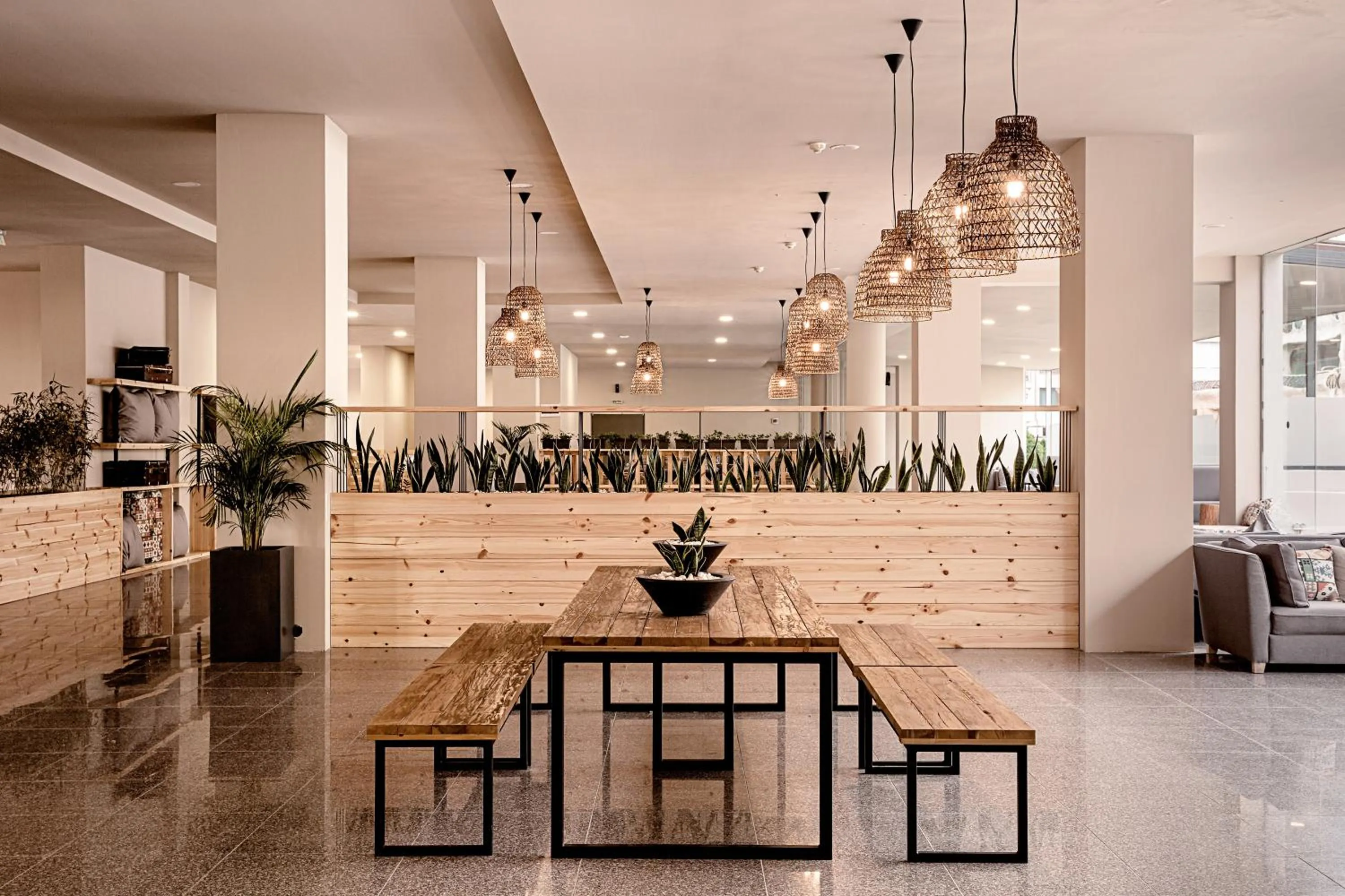 Lounge or bar in Sunny Beach Club - Adults Only #YouthfulVibes