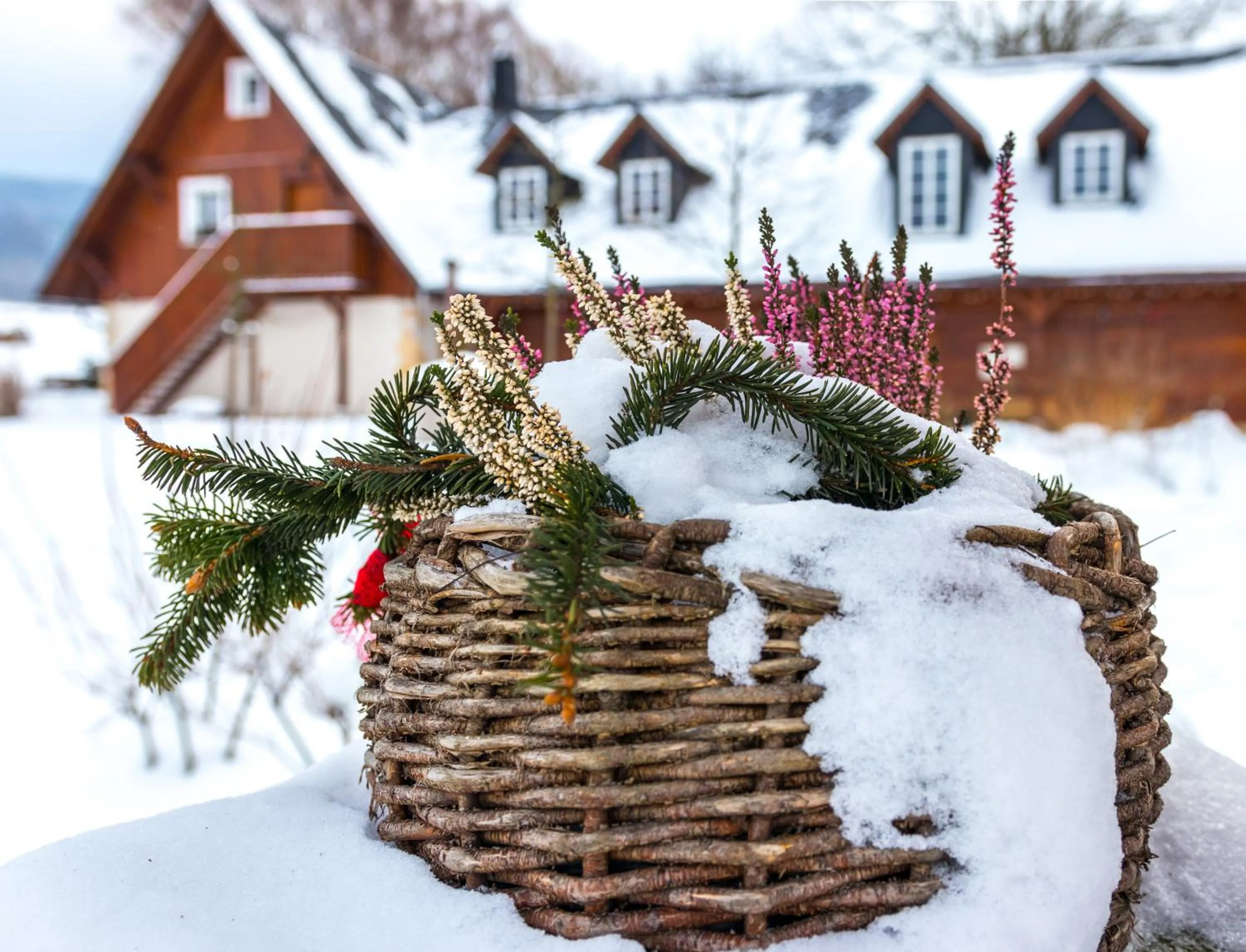 Property building in Penzion Pivnice - Jítravský Dvorec