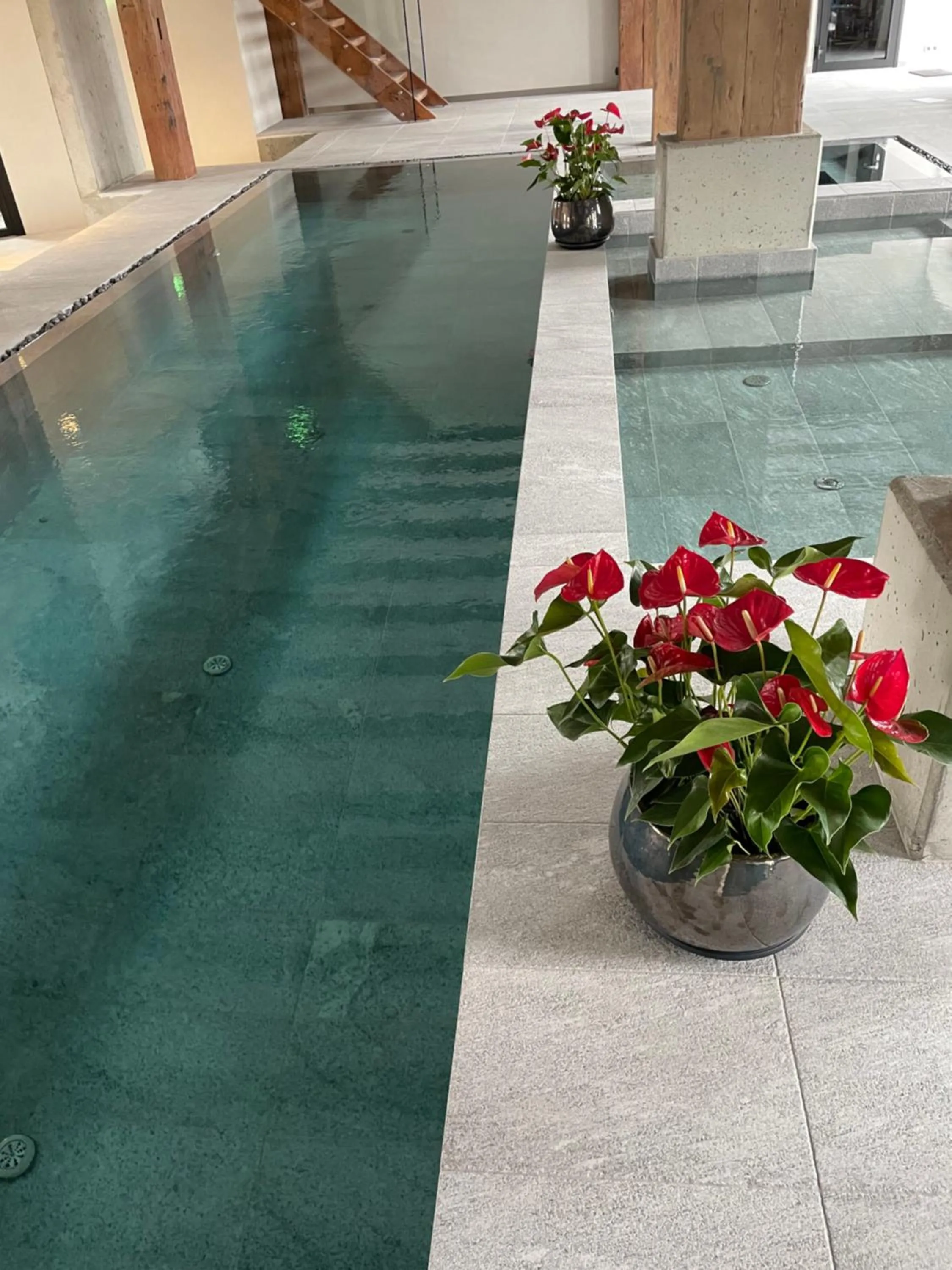 Swimming pool in Michaelson Boutique Hotel & SPA Brícoła