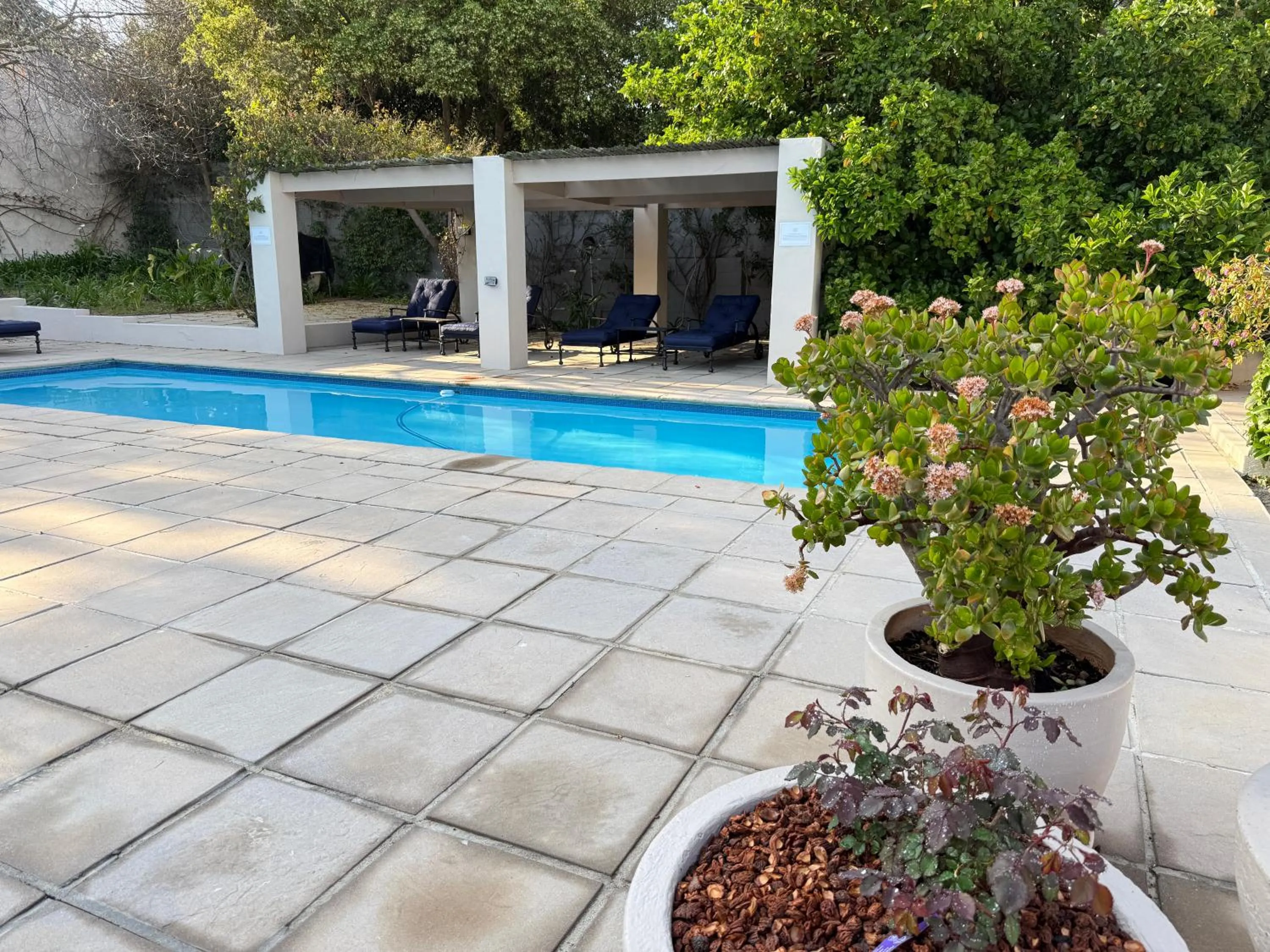 Pool view in Residence Vive la Vie