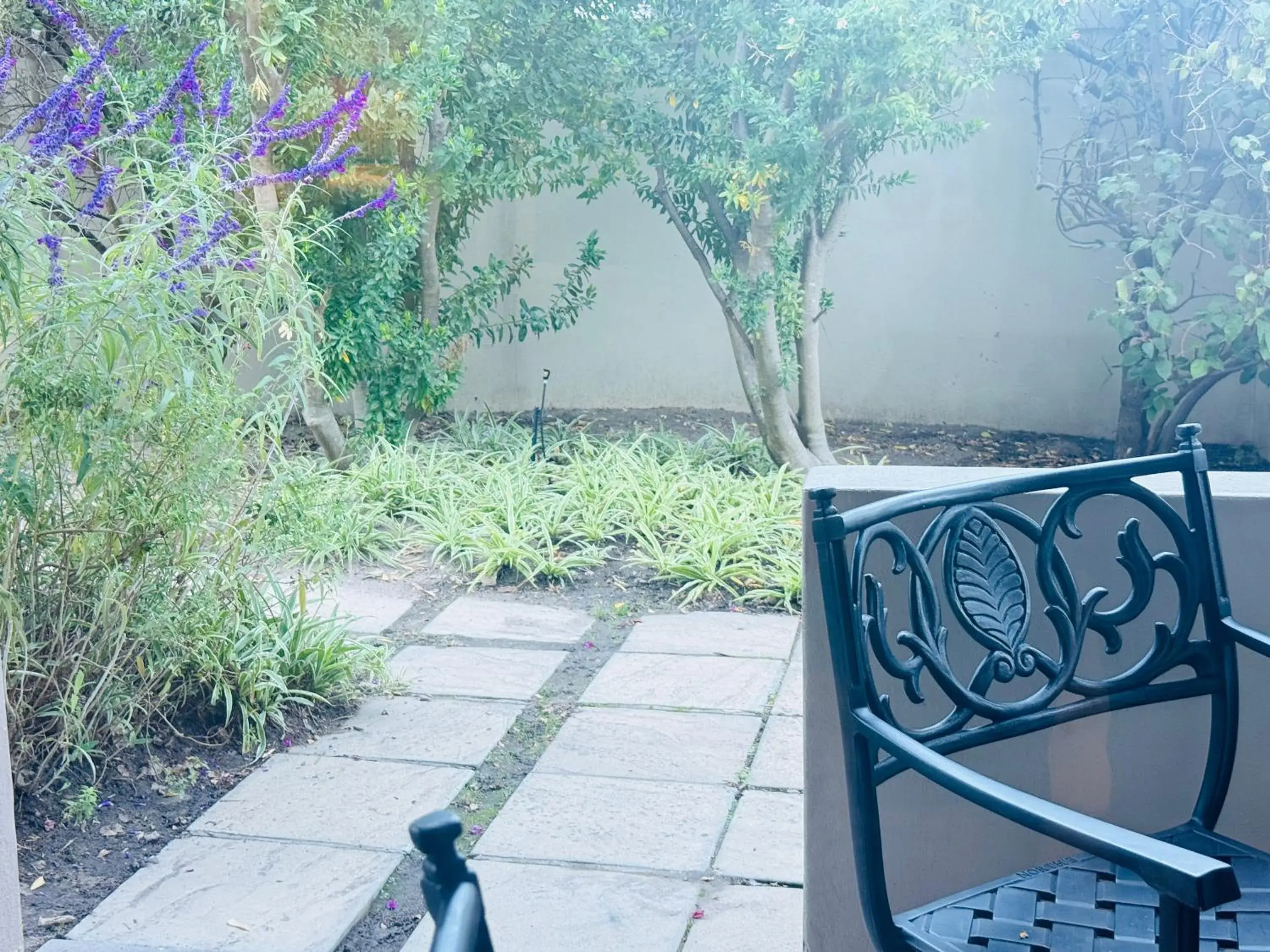 Garden view in Residence Vive la Vie Garden view in Residence Vive la Vie