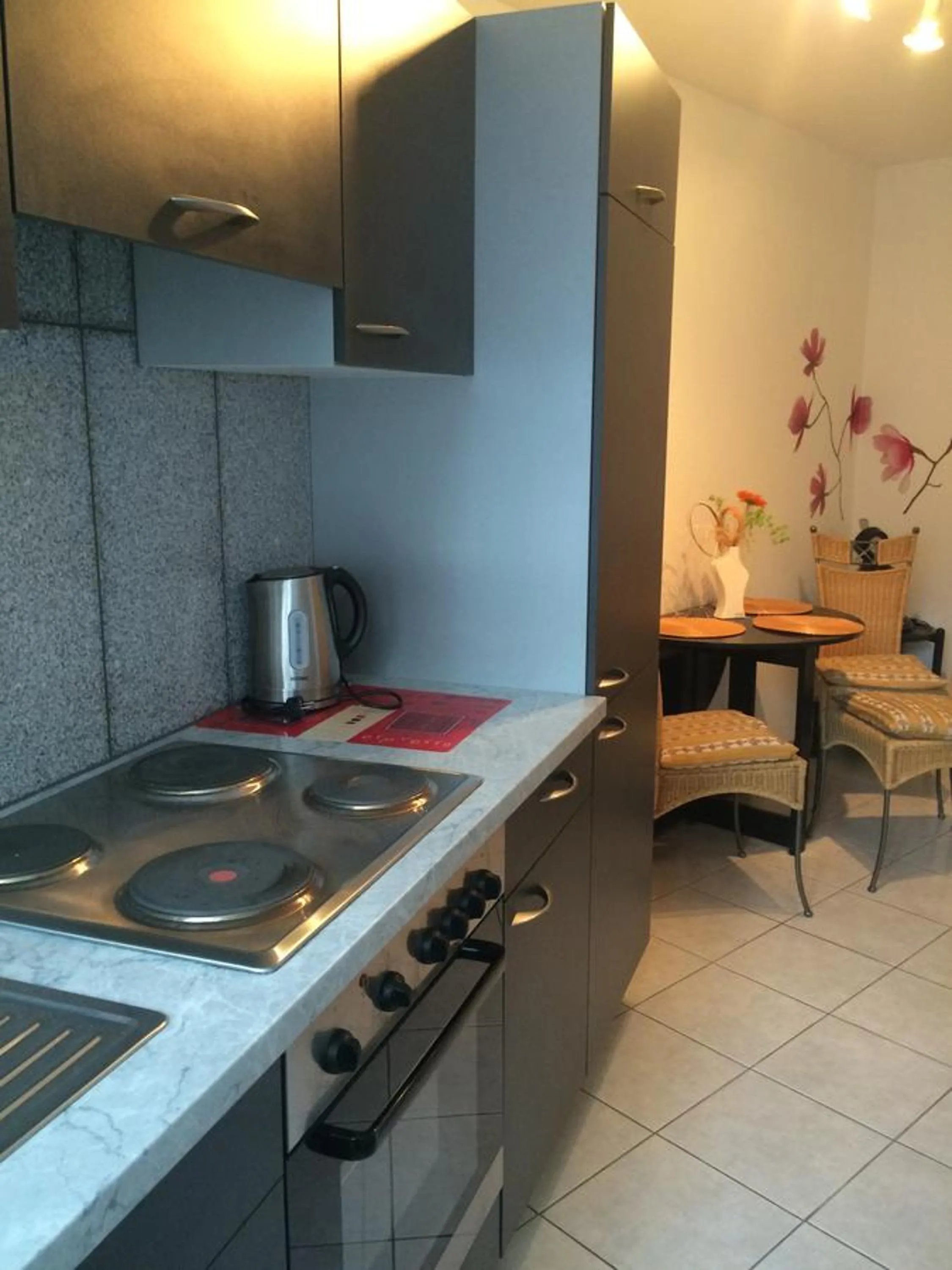 Anton-Ulrich Apartment