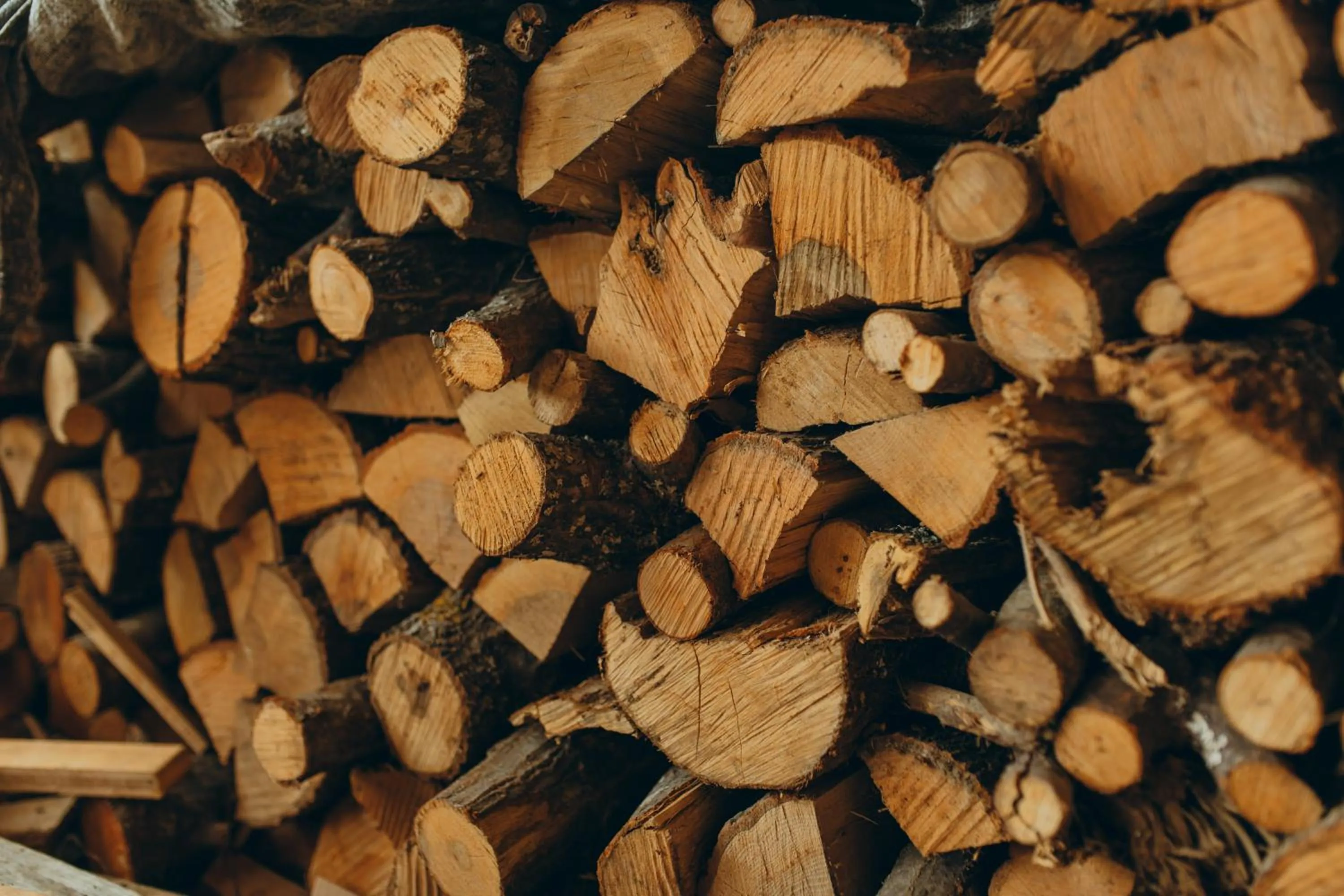 Winter in B&B Mappamundi