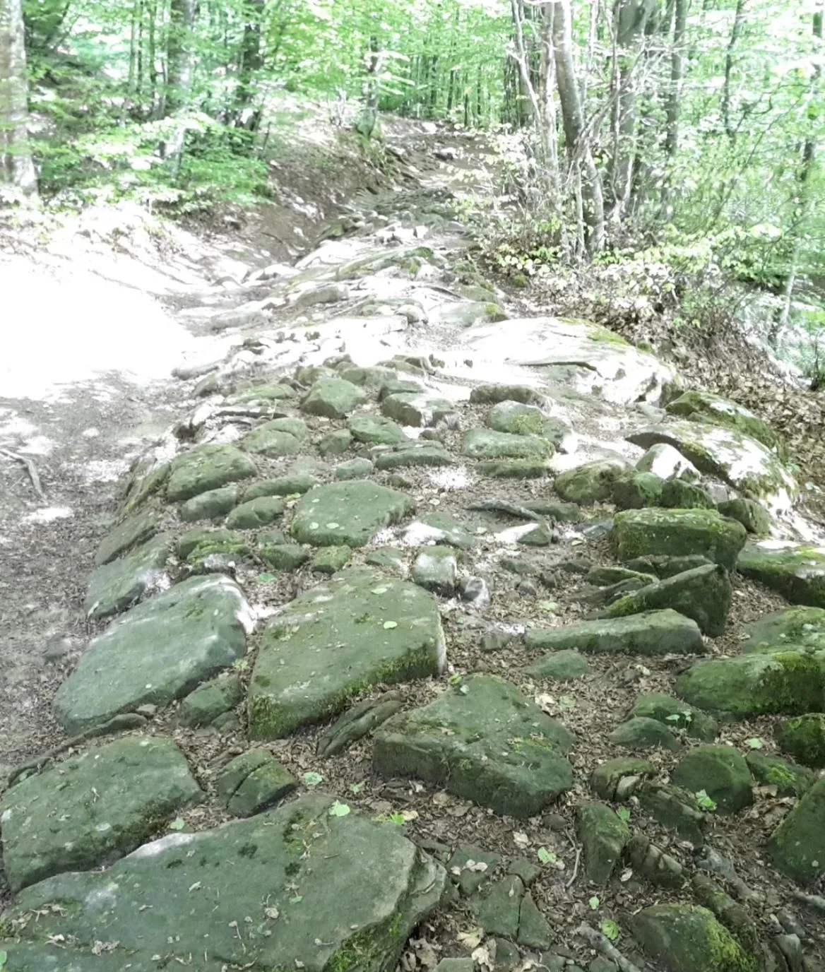 Nearby landmark in B&B Mappamundi