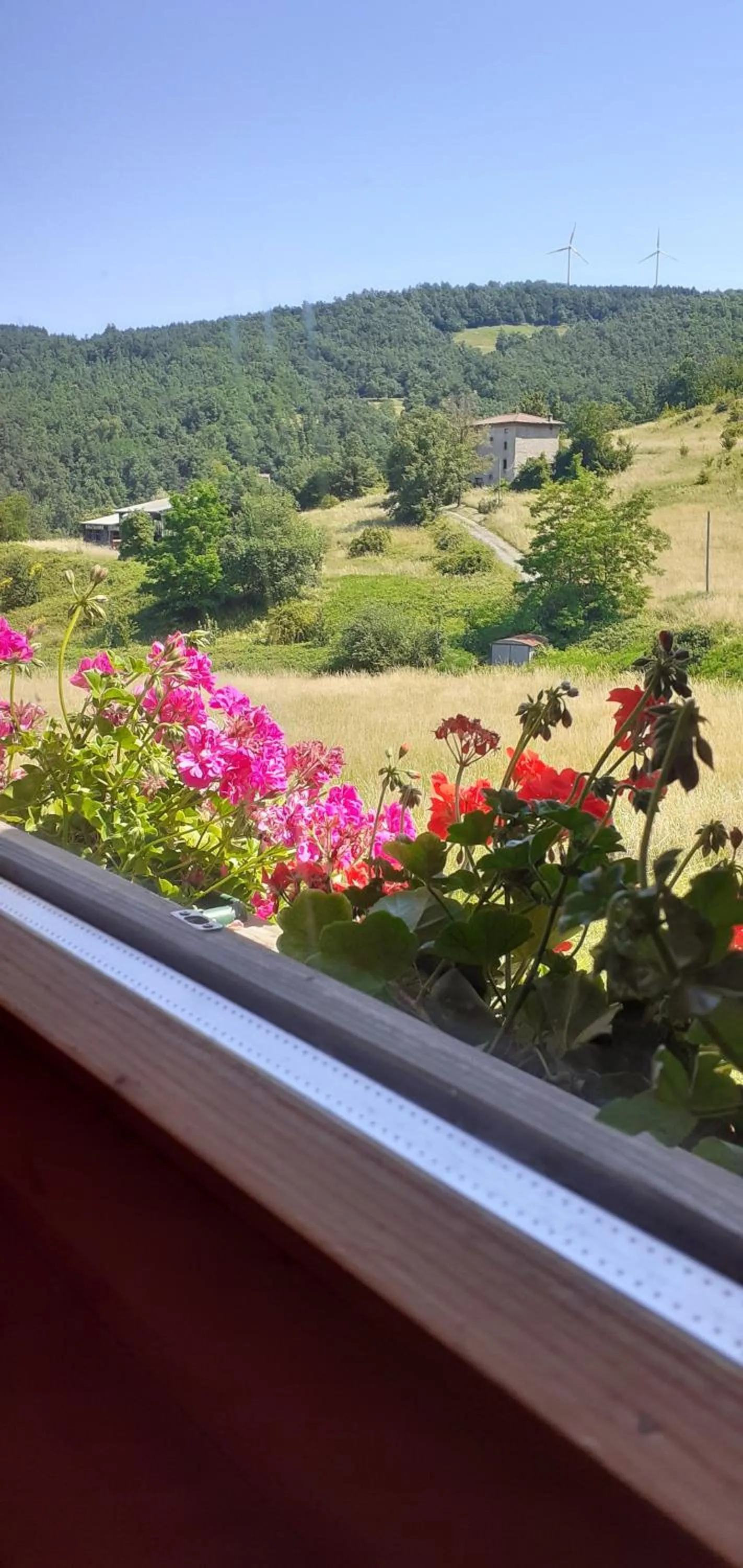 Garden view in B&B Mappamundi