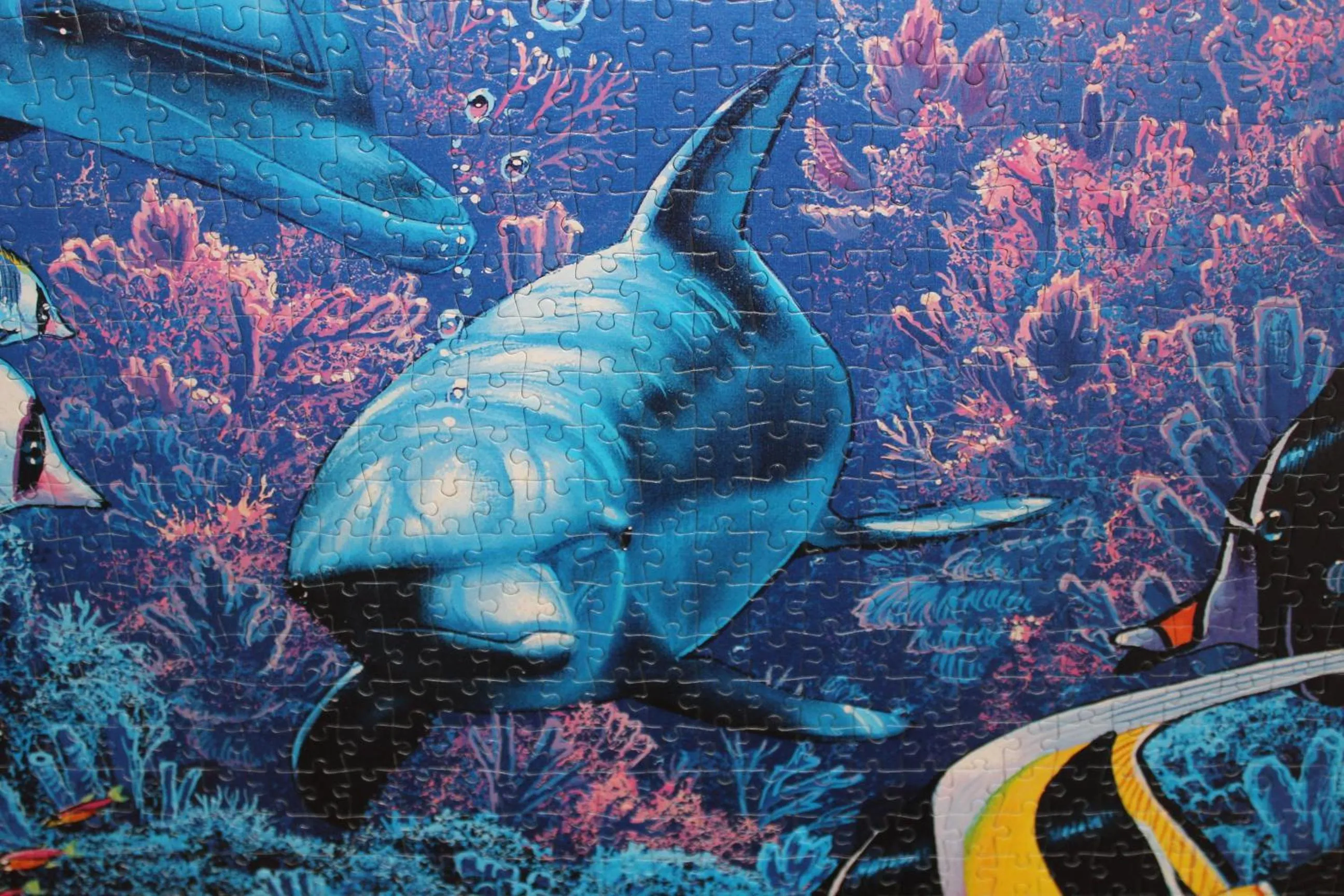 Decorative detail in Puzzle Suites B&B