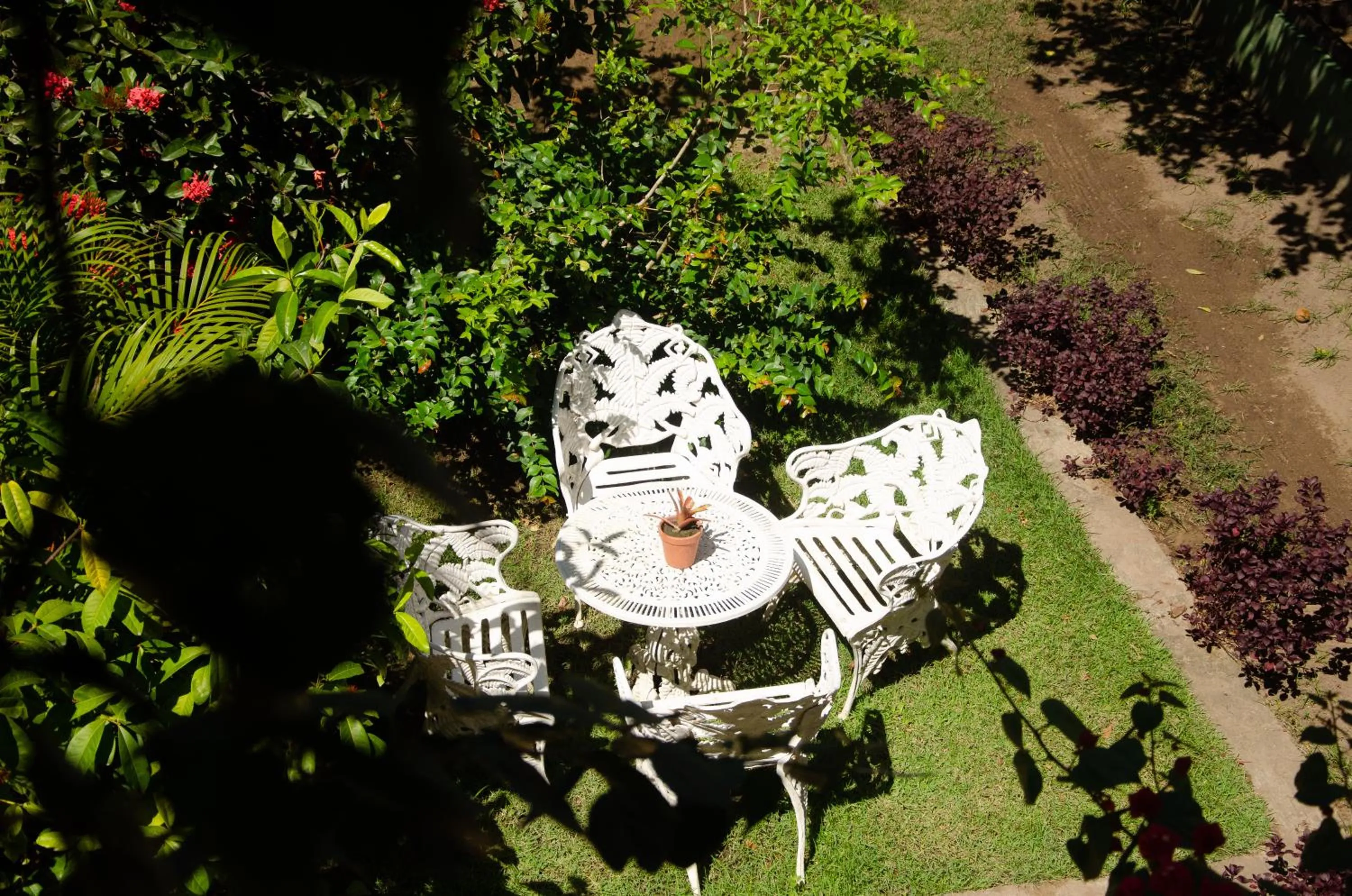 Day in Pousada das Bromélias