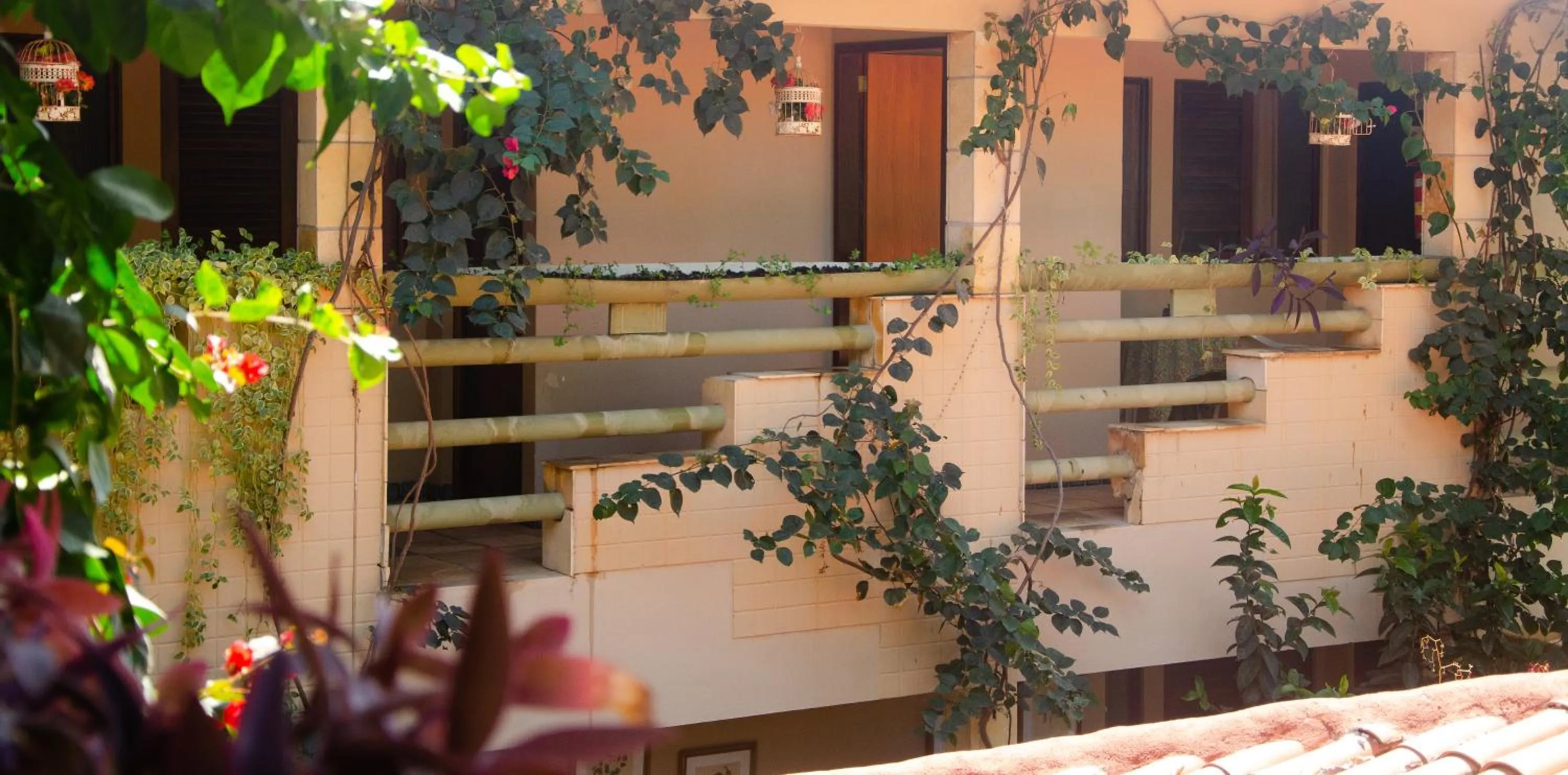 Property building in Pousada das Bromélias