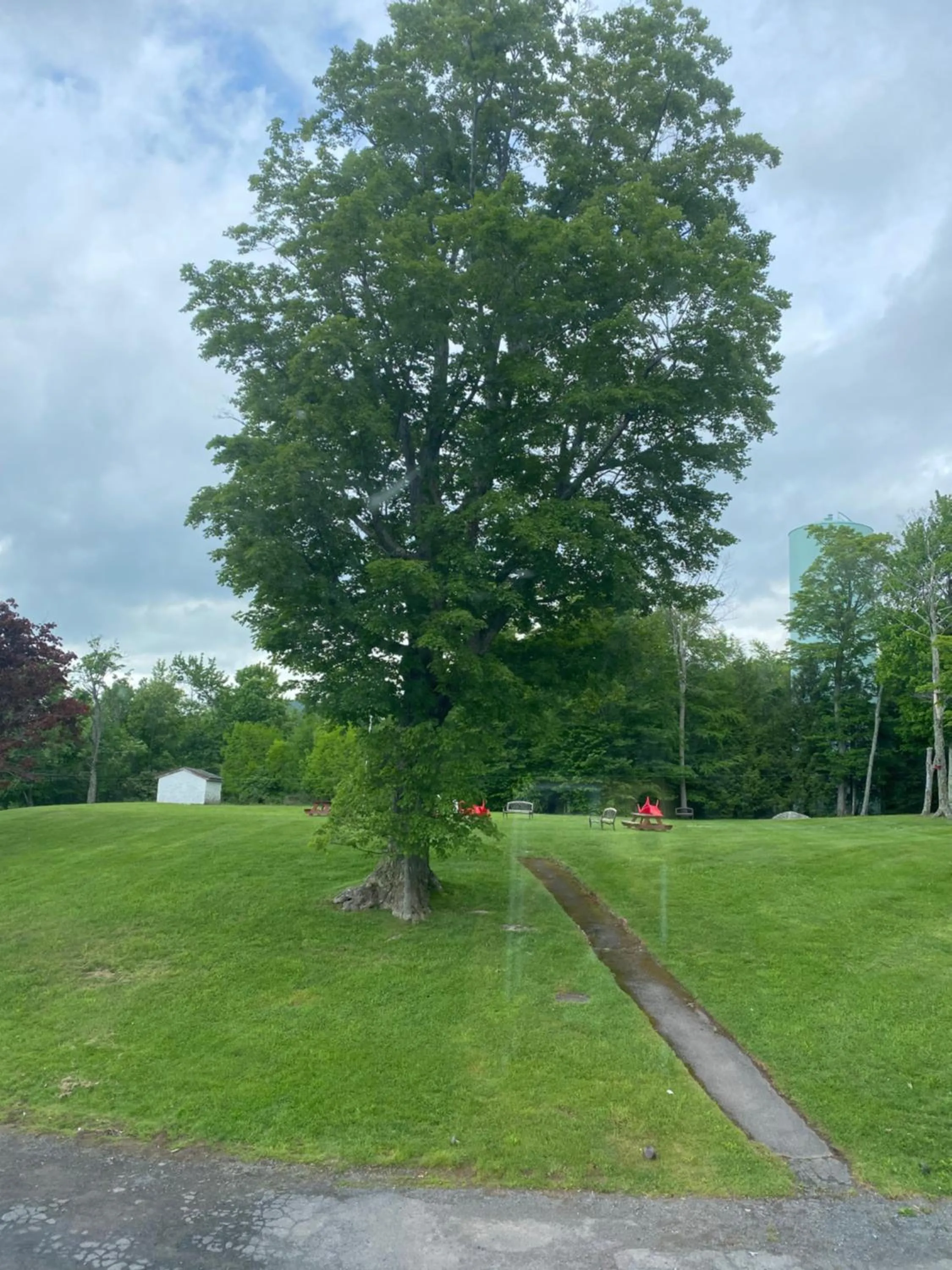 Garden view in The Sunview Motel